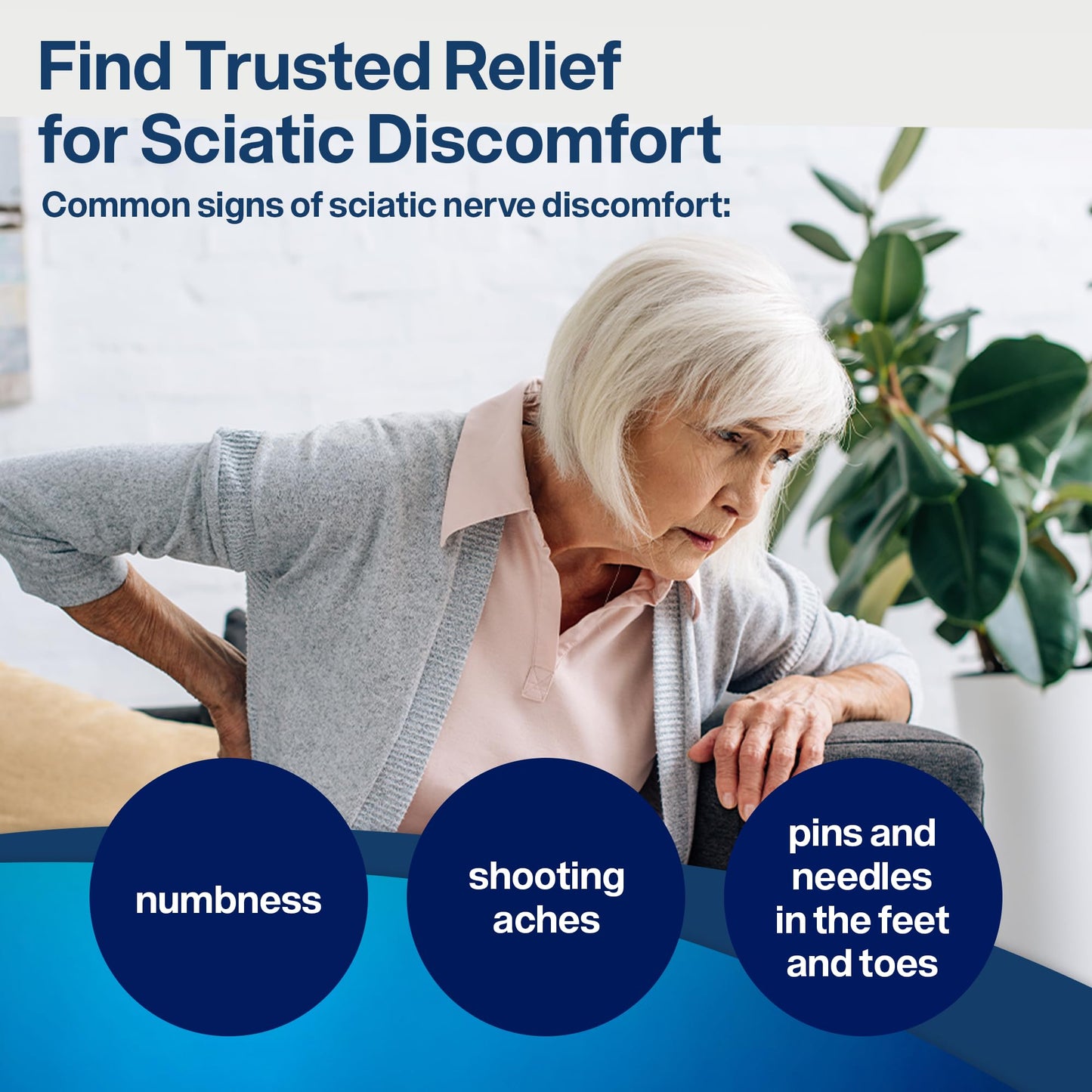 SciatiEase Sciatic Nerve Health Support Supplement Capsule, 120 Capsules