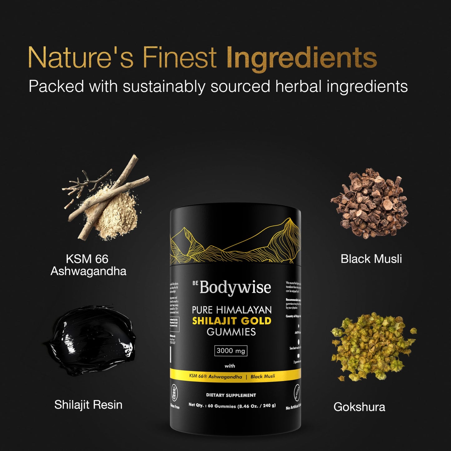 Be Bodywise Pure Himalayan Shilajit Gummies 60 Count