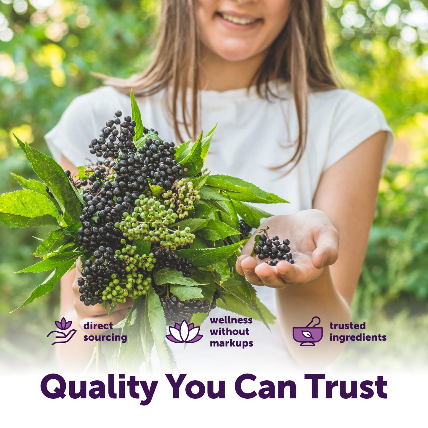 Micro Ingredients Elderberry Complex with Zinc & Vitamin C, 7-in-1 with D3, Oil of Oregano, Quercetin & Ginger, Made with MCT & Elderberry Seed Oil Softgels 360