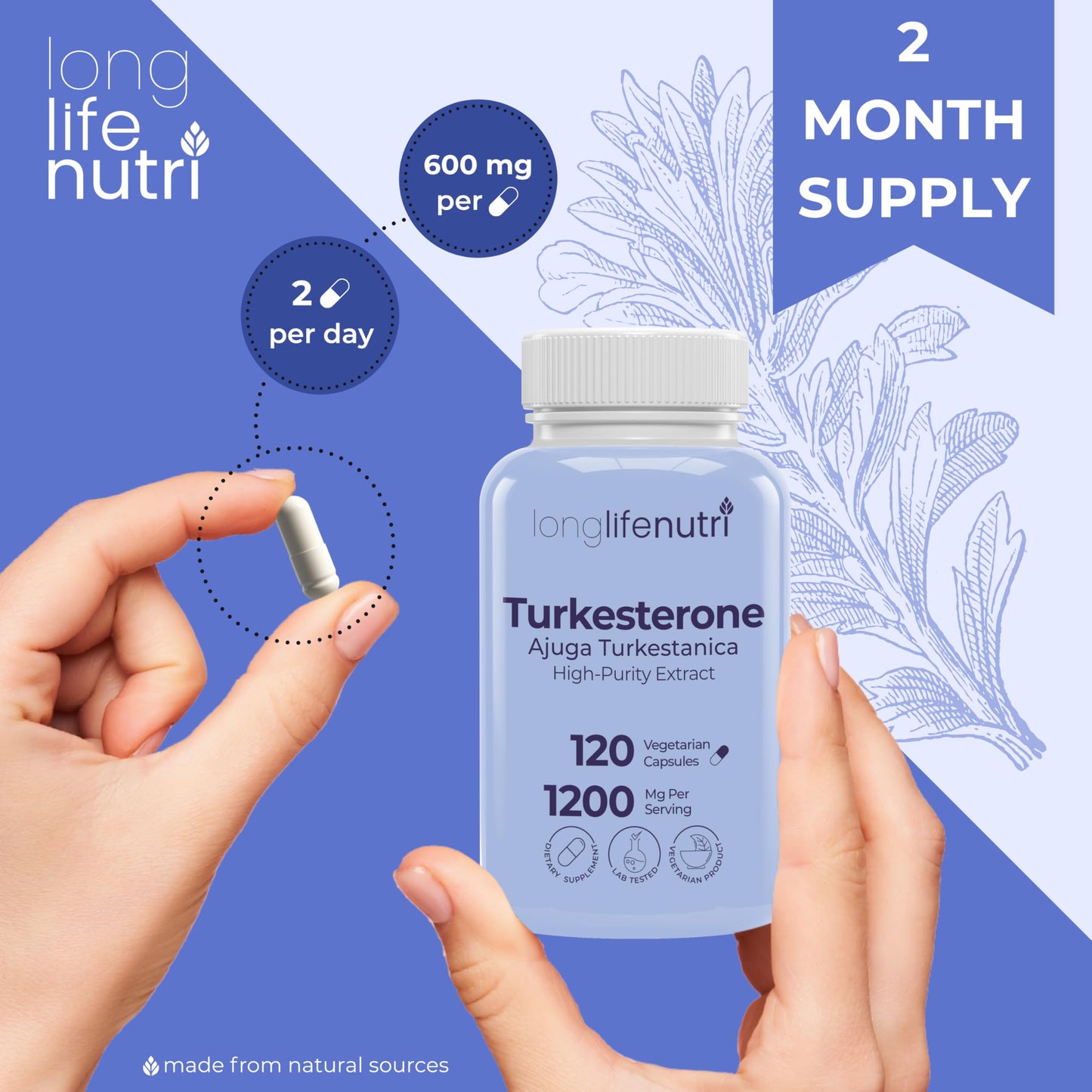 LongLifeNutri Turkesterone 1200mg – High Purity Ajuga Turkestanica for Strength, Recovery, & Muscle Growth, 120 Vegetarian Capsules