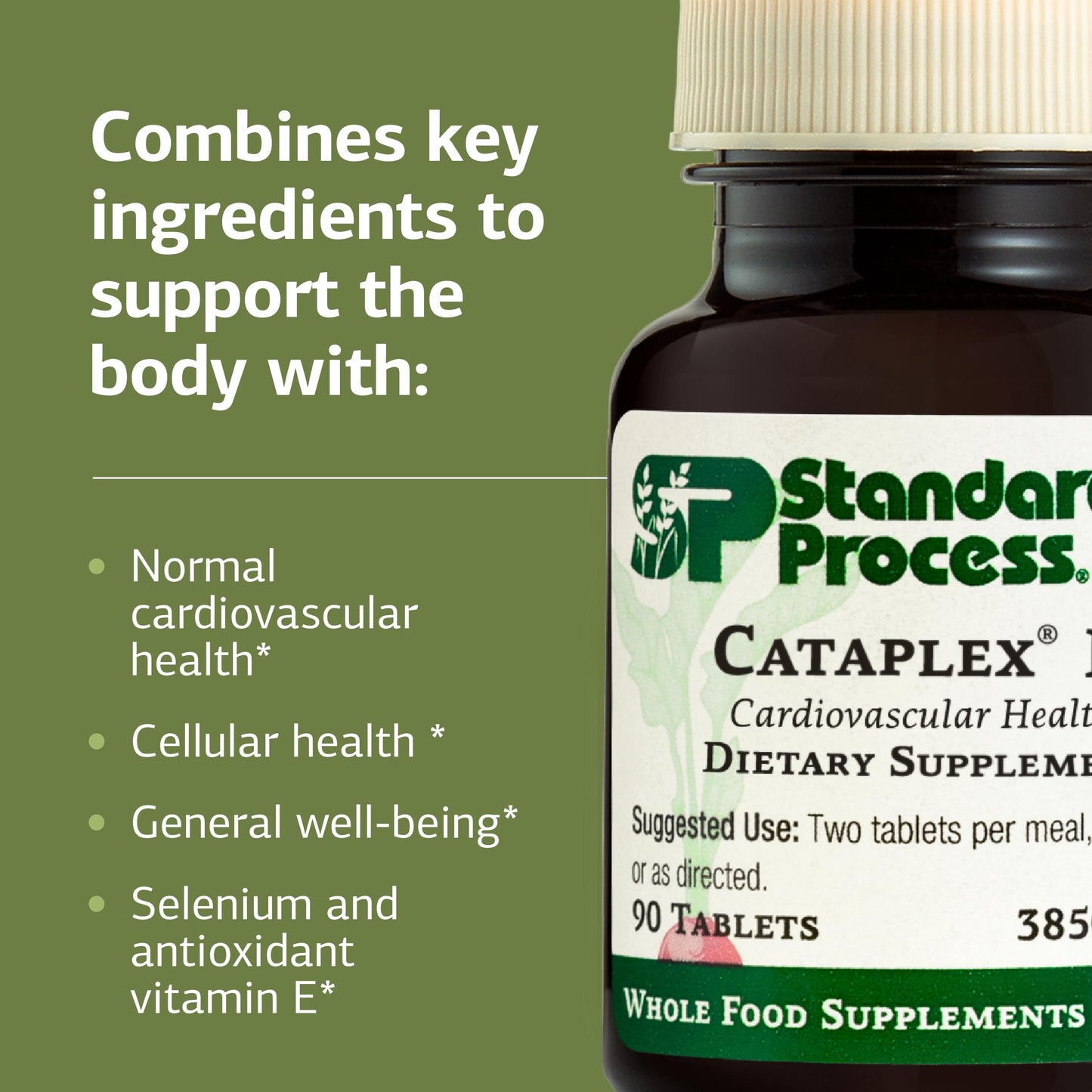 Standard Process Cataplex E2 Tablet 90 Count