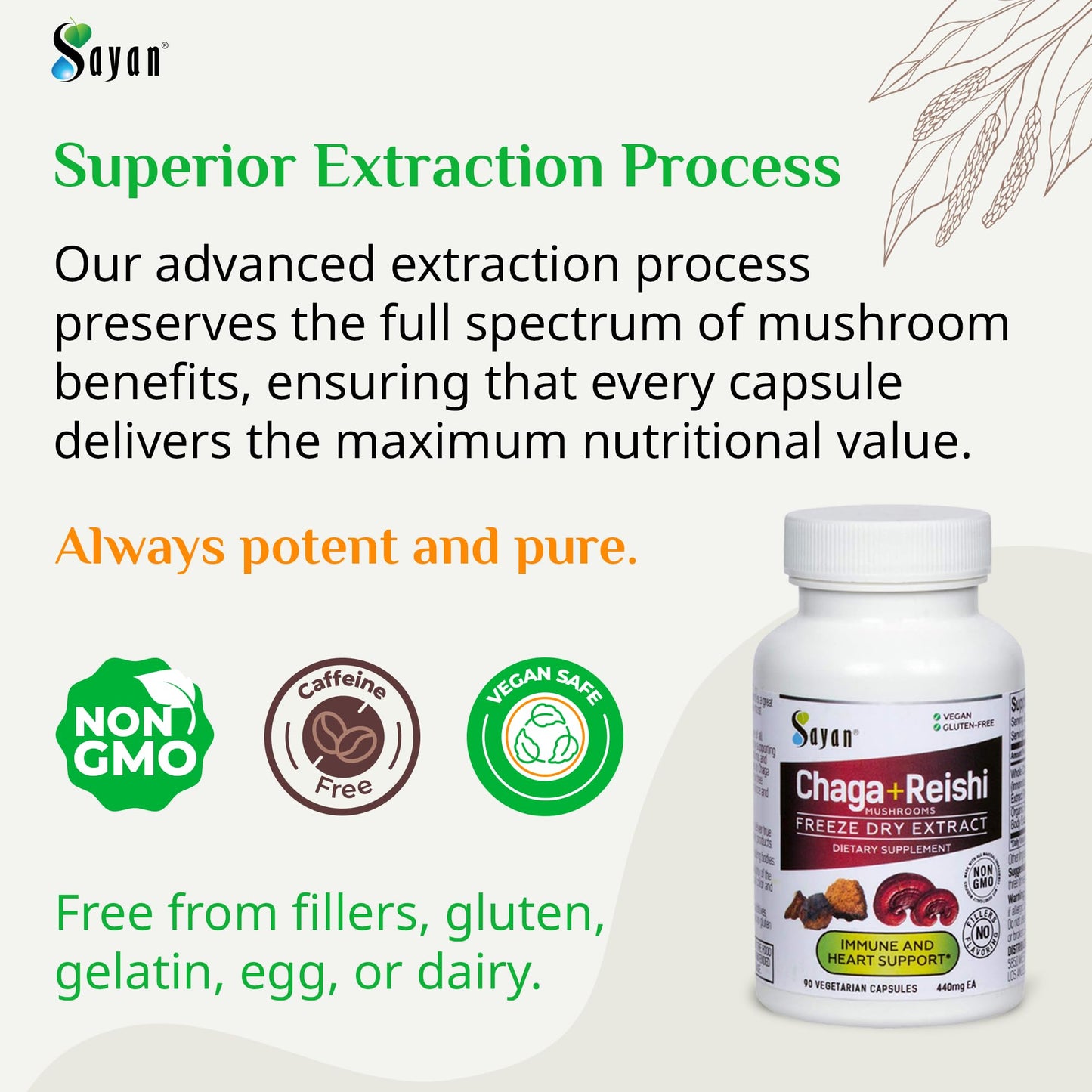 Sayan Chaga and Organic Reishi Mushroom Capsules 90 Count