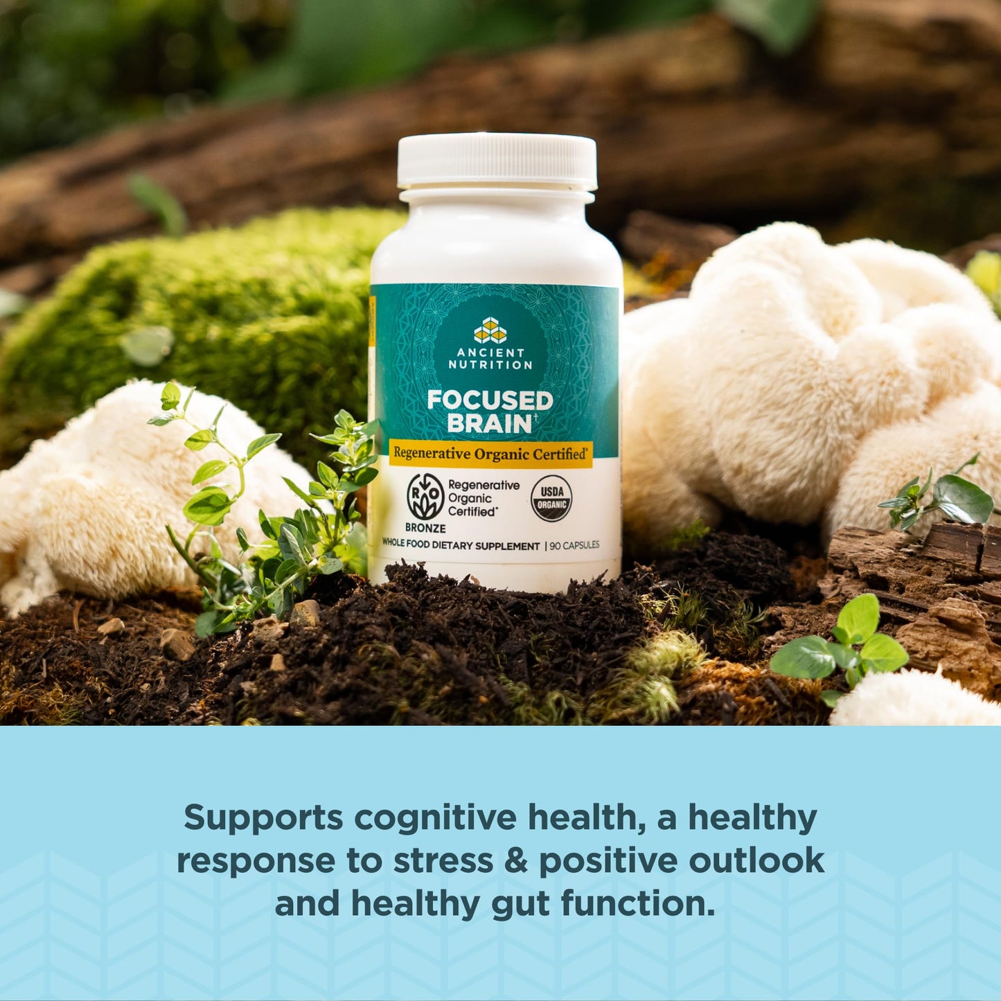 Ancient Nutrition Regenerative Organic Certified Focused Brain Capsules 90 Count
