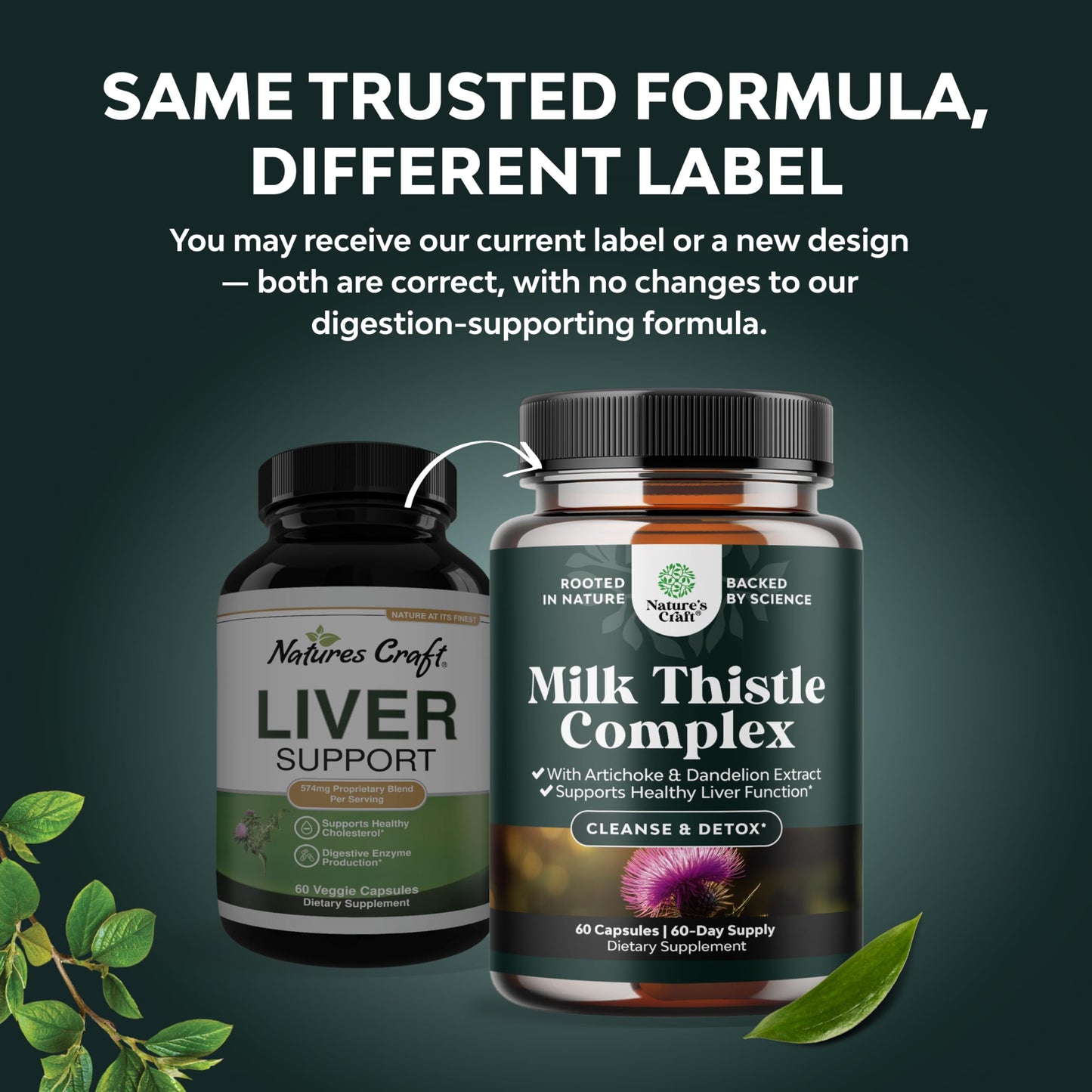 Natures Craft Milk Thistle Liver Support Capsule, 60 Count