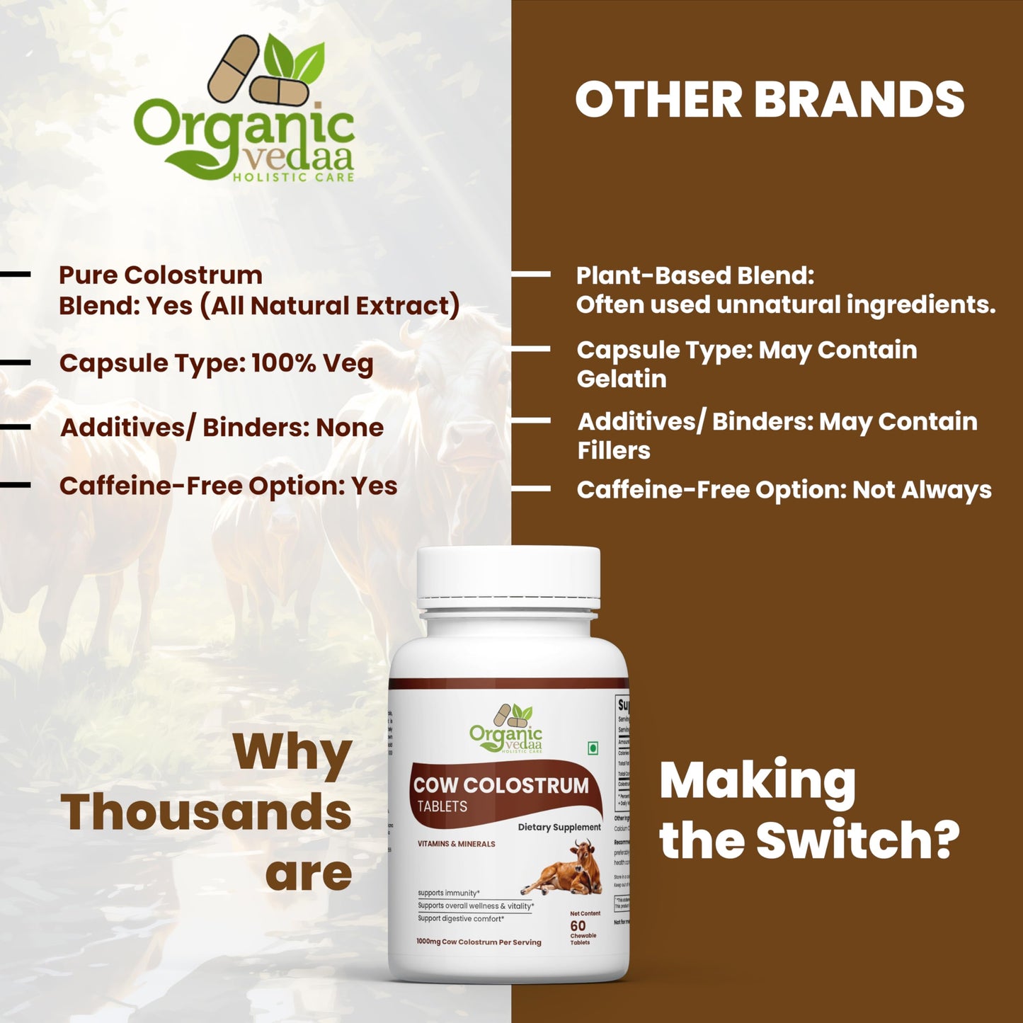 ORGANIC VEDAA HOLISTIC CARE Natural Fiber Supplement for Digestive Health & Regularity Capsule, 1 Count