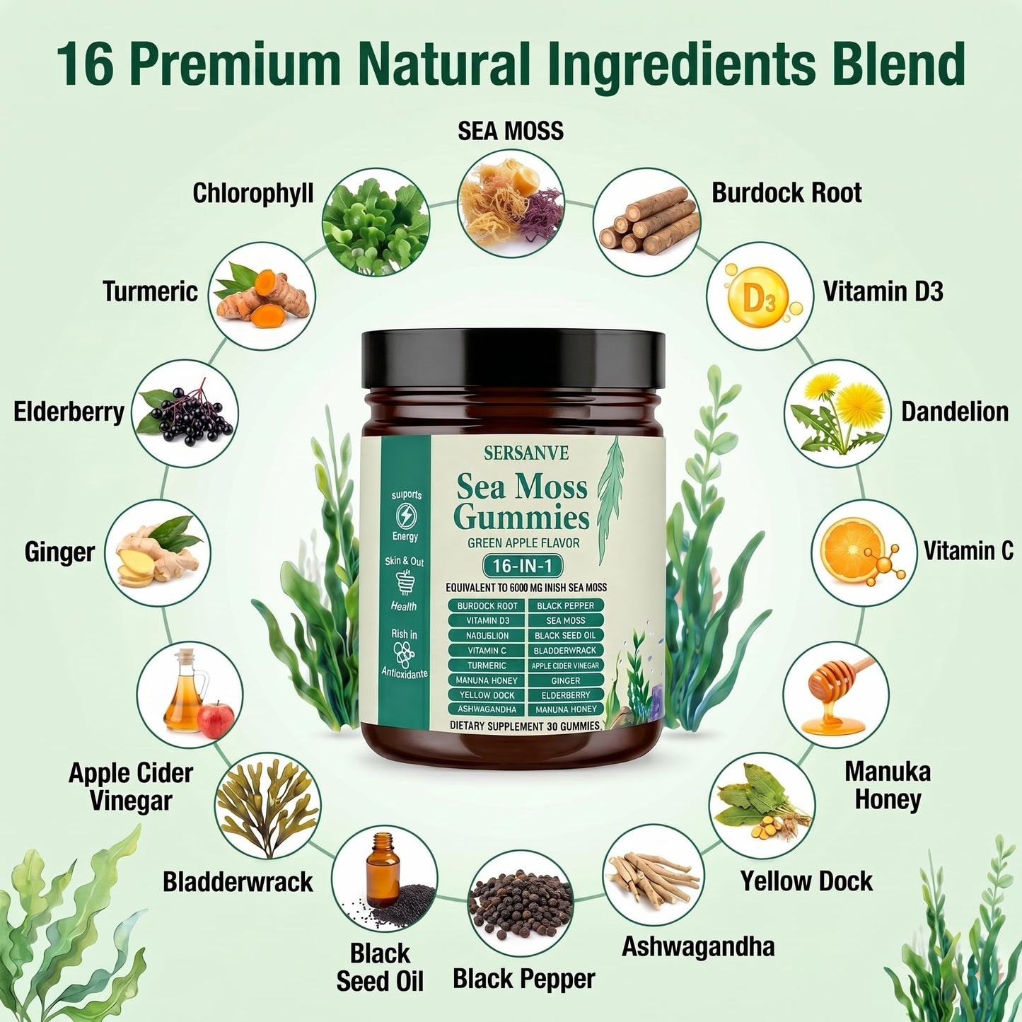 SERSANVE Sea Moss Gummies 16-in-1 with Ashwagandha Burdock Black Seed Oil Gummy 30 Count