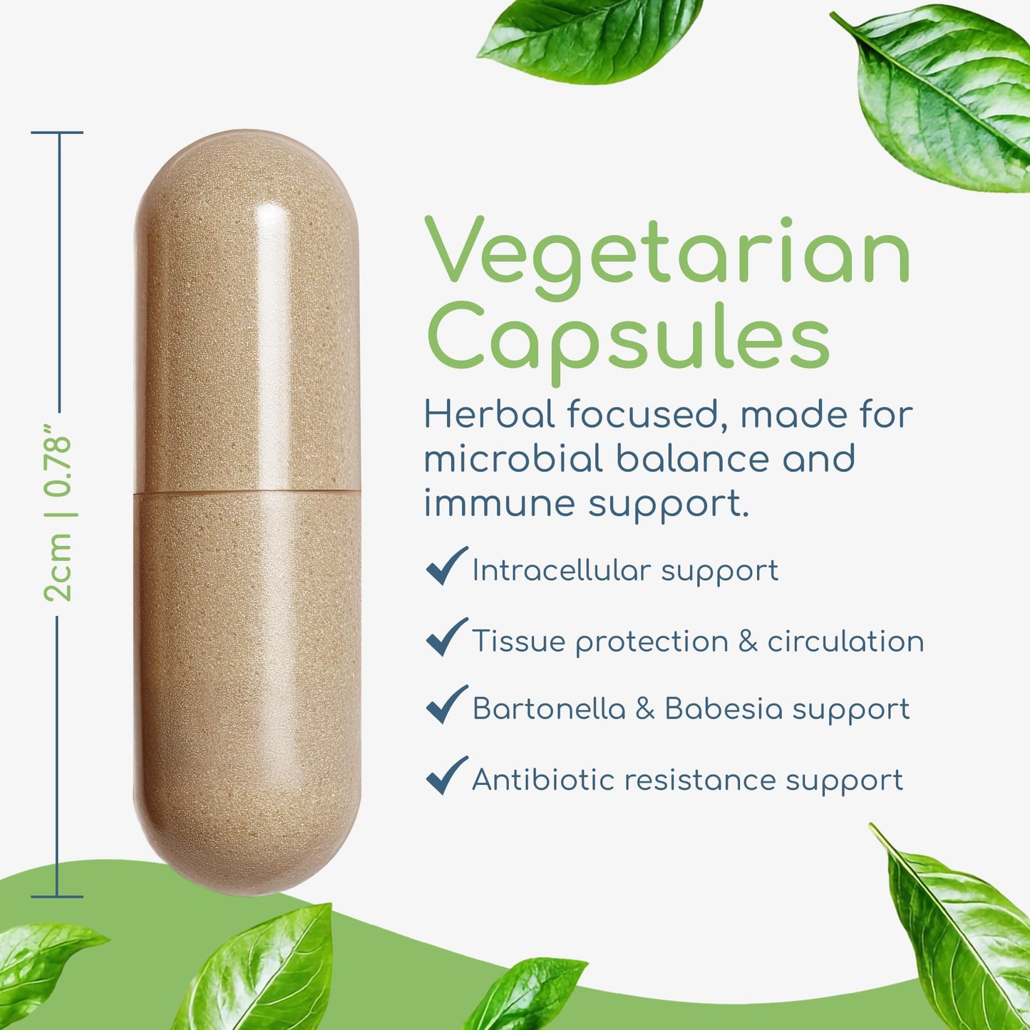 Return Healthy Cryptolepis Concentrate 120 Capsules