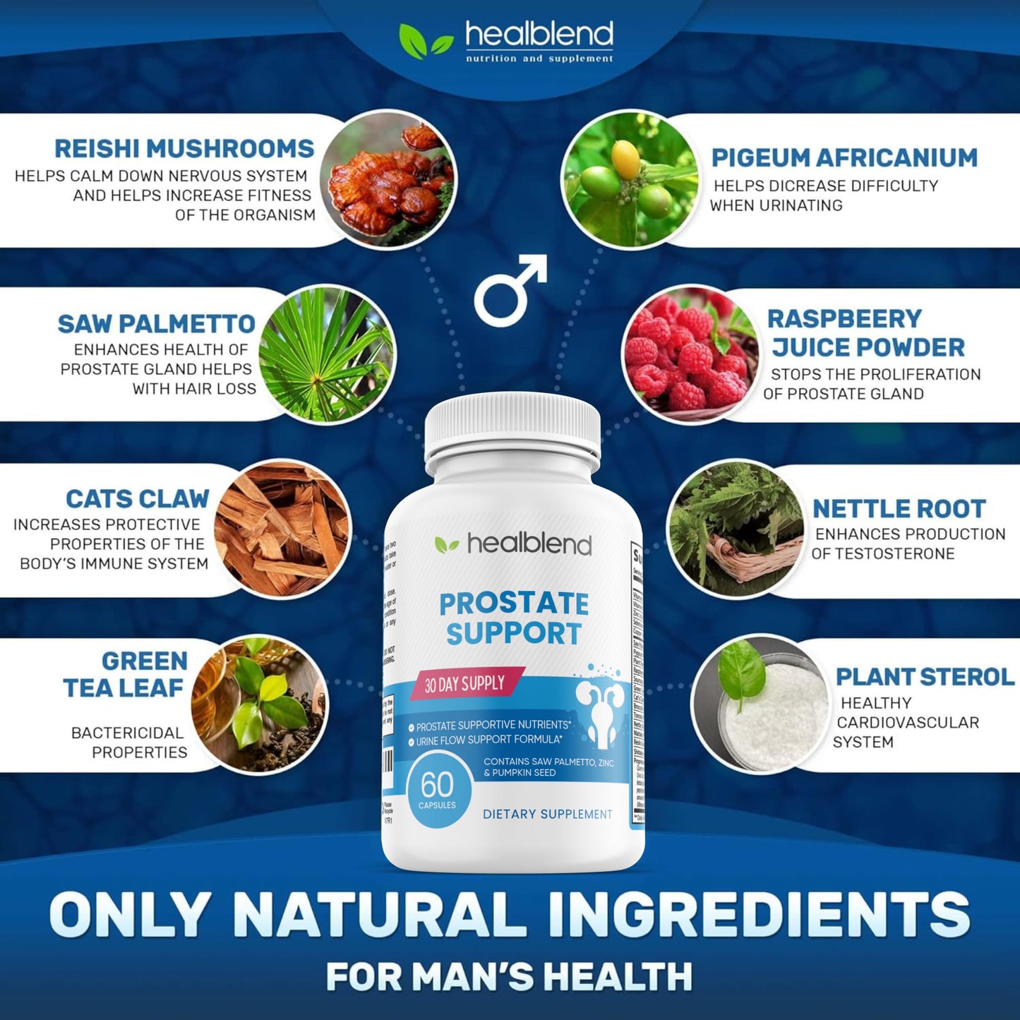 healblend Prostate Formula Prostate Support Supplement Capsule 60 Capsules