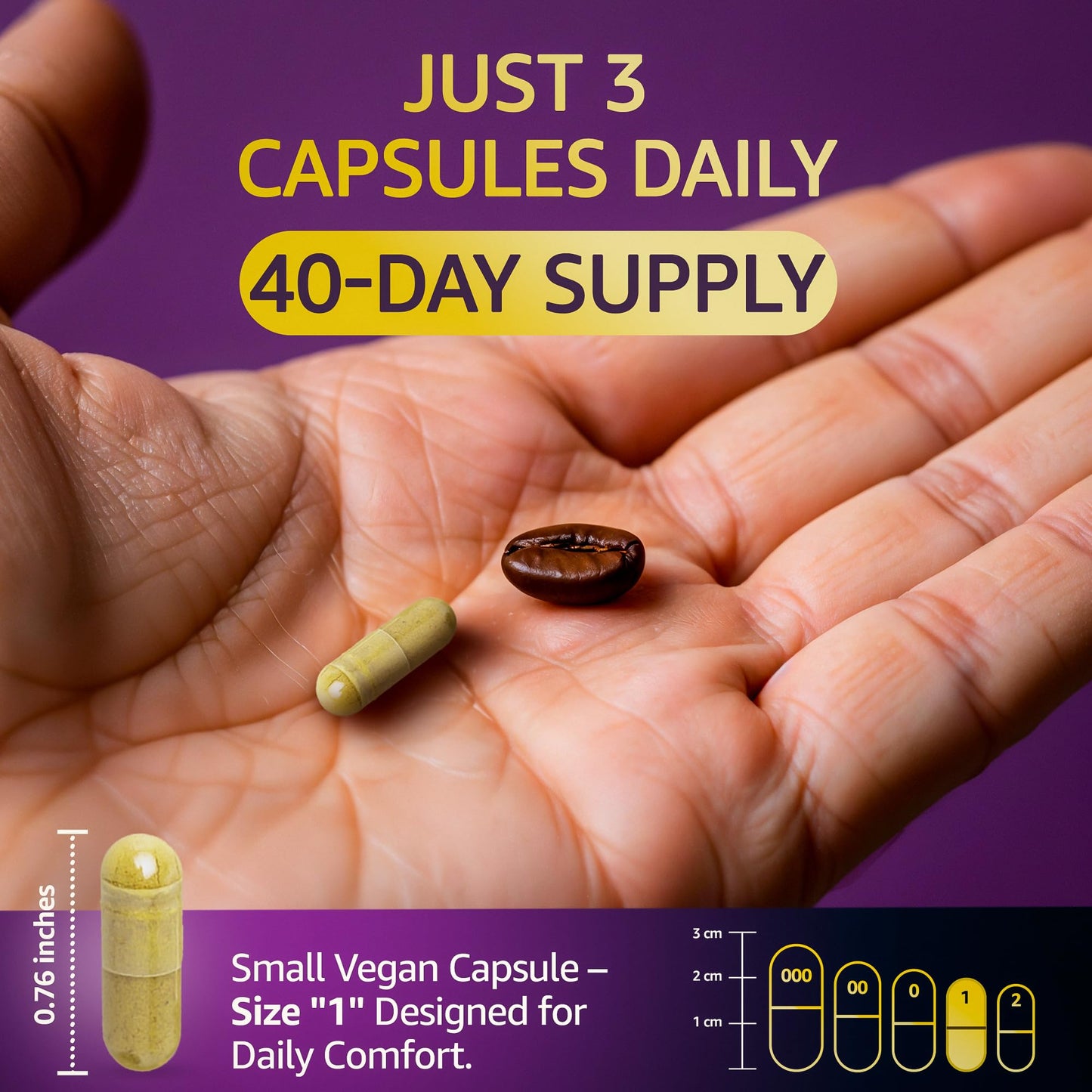 LetaGreen Sea Moss Capsules 120 Count
