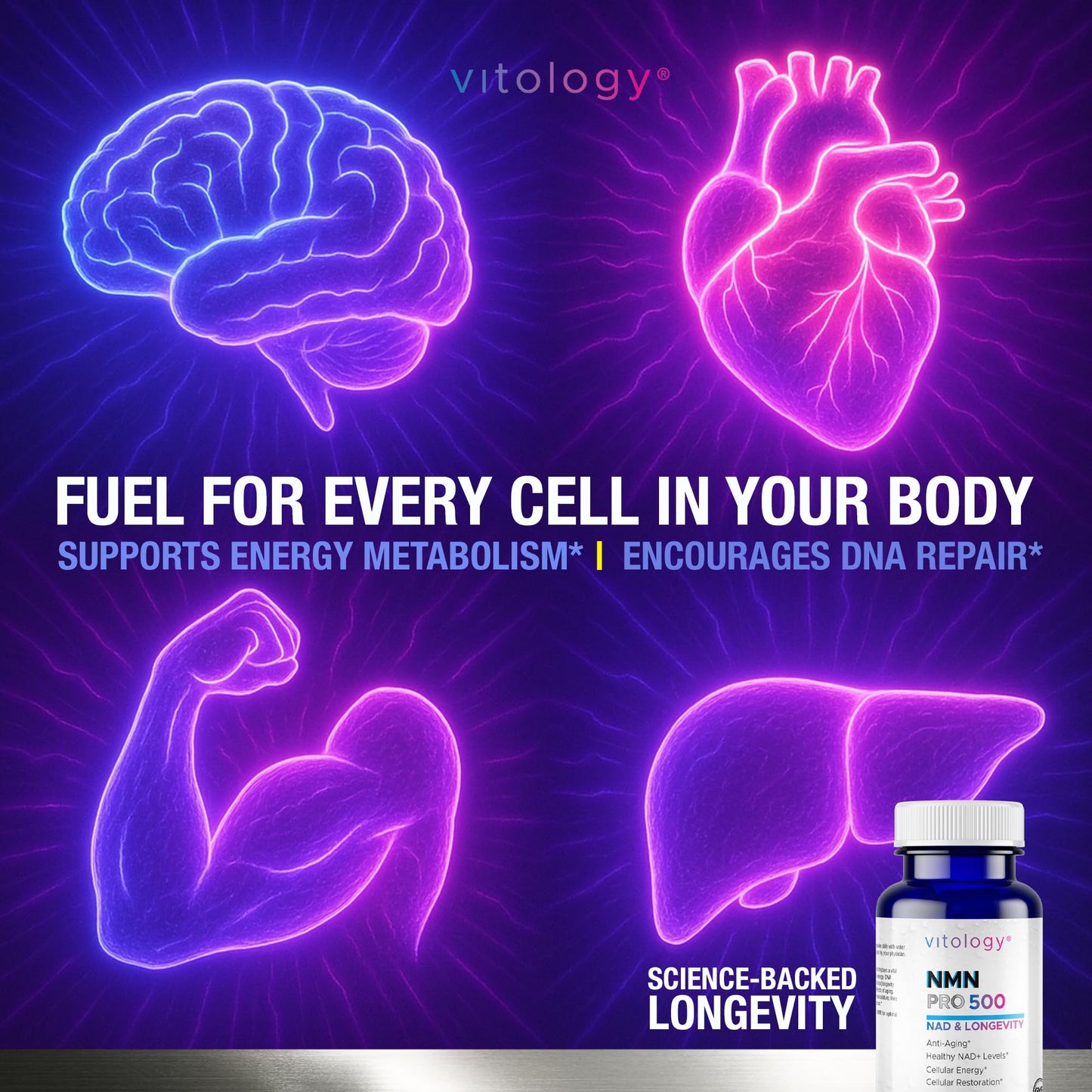 Vitology NMN-PRO 500mg NMN Supplement Capsules, 60 Count