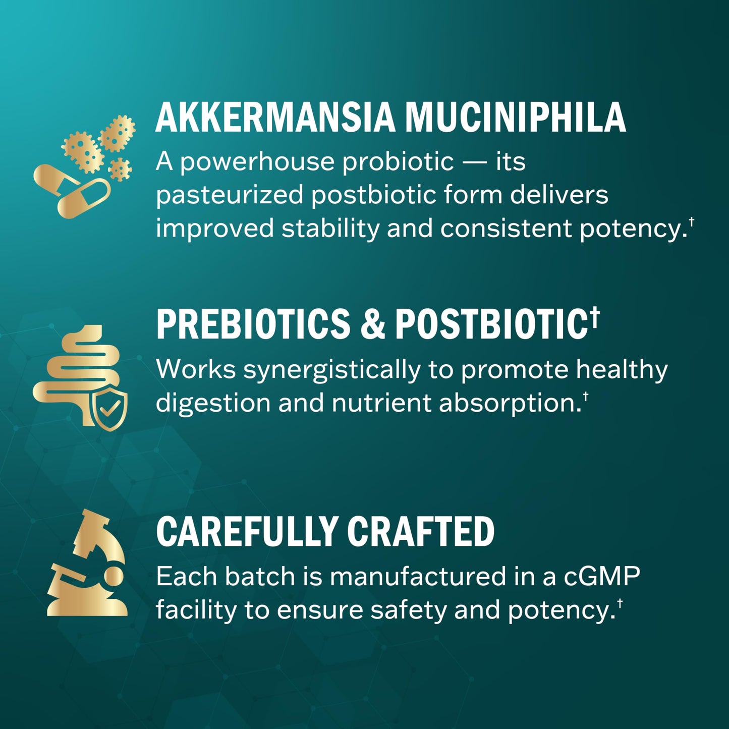 BioSchwartz Akkermansia Muciniphila Prebiotics & Postbiotic Capsules, 30 Capsules