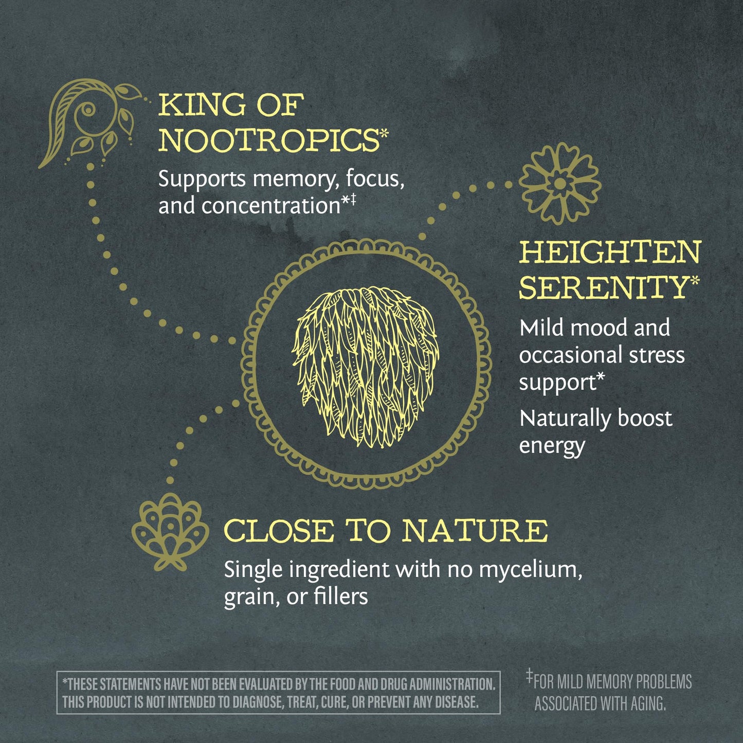 Sunwarrior Lions Mane Supplement Organic Mushroom Powder, 5.2911 oz