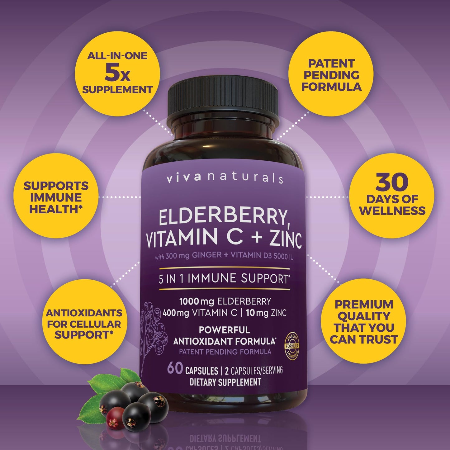 Viva Naturals Black Elderberry 1000mg with Vitamin C, D3 5000 IU & Zinc - 5-in-1 Immune Support Sambucus Elderberry Capsules with Ginger, 60 Capsules