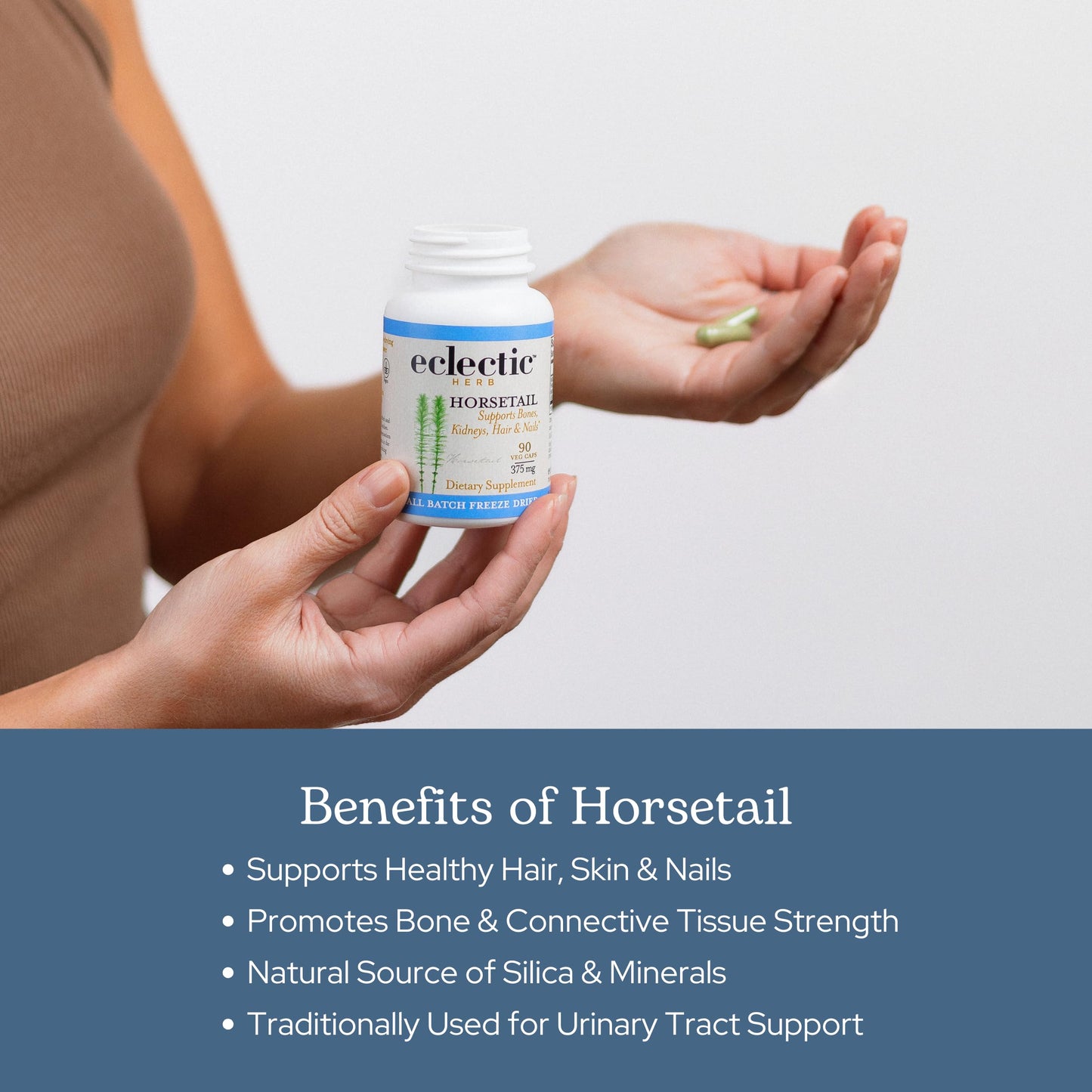 Eclectic Institute Horsetail Capsules, 90 Count