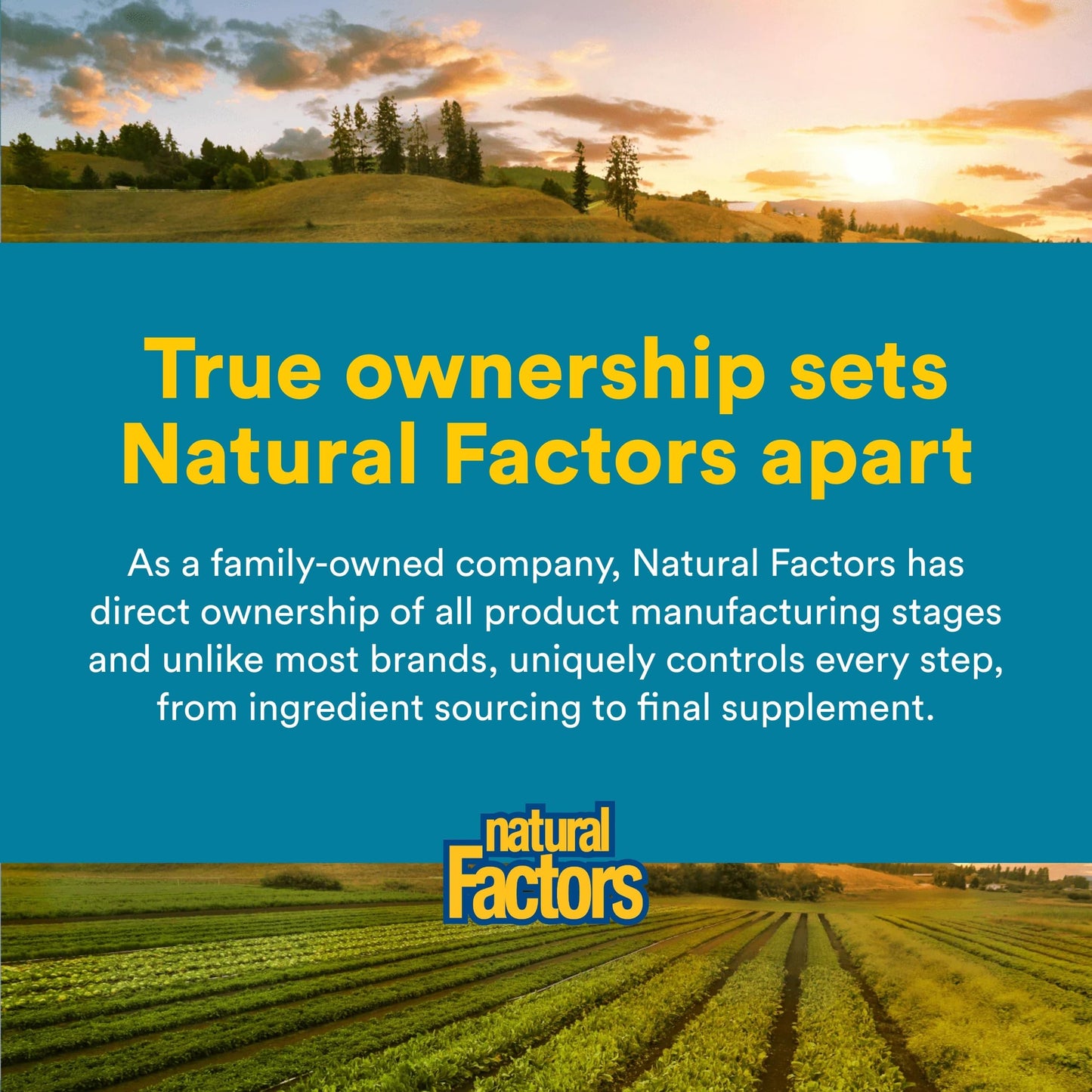 Natural Factors Ultimate Probiotic Critical Care Capsule 30 Count