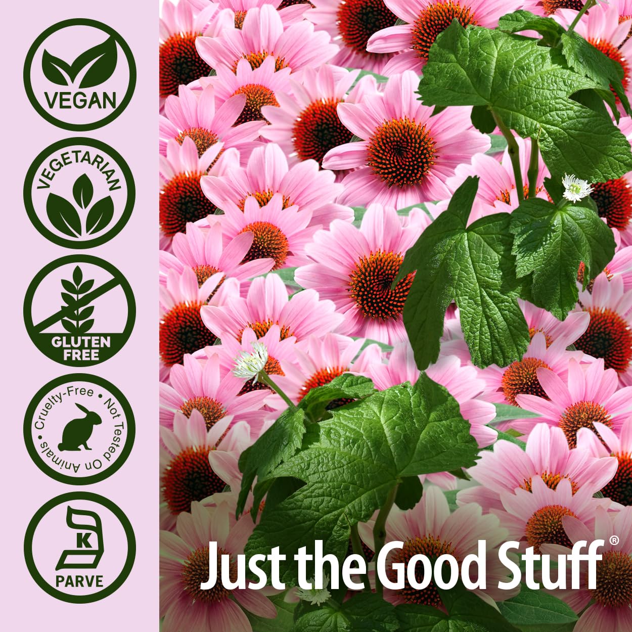 Nature's Answer Echinacea & Goldenseal Capsule 90 Count