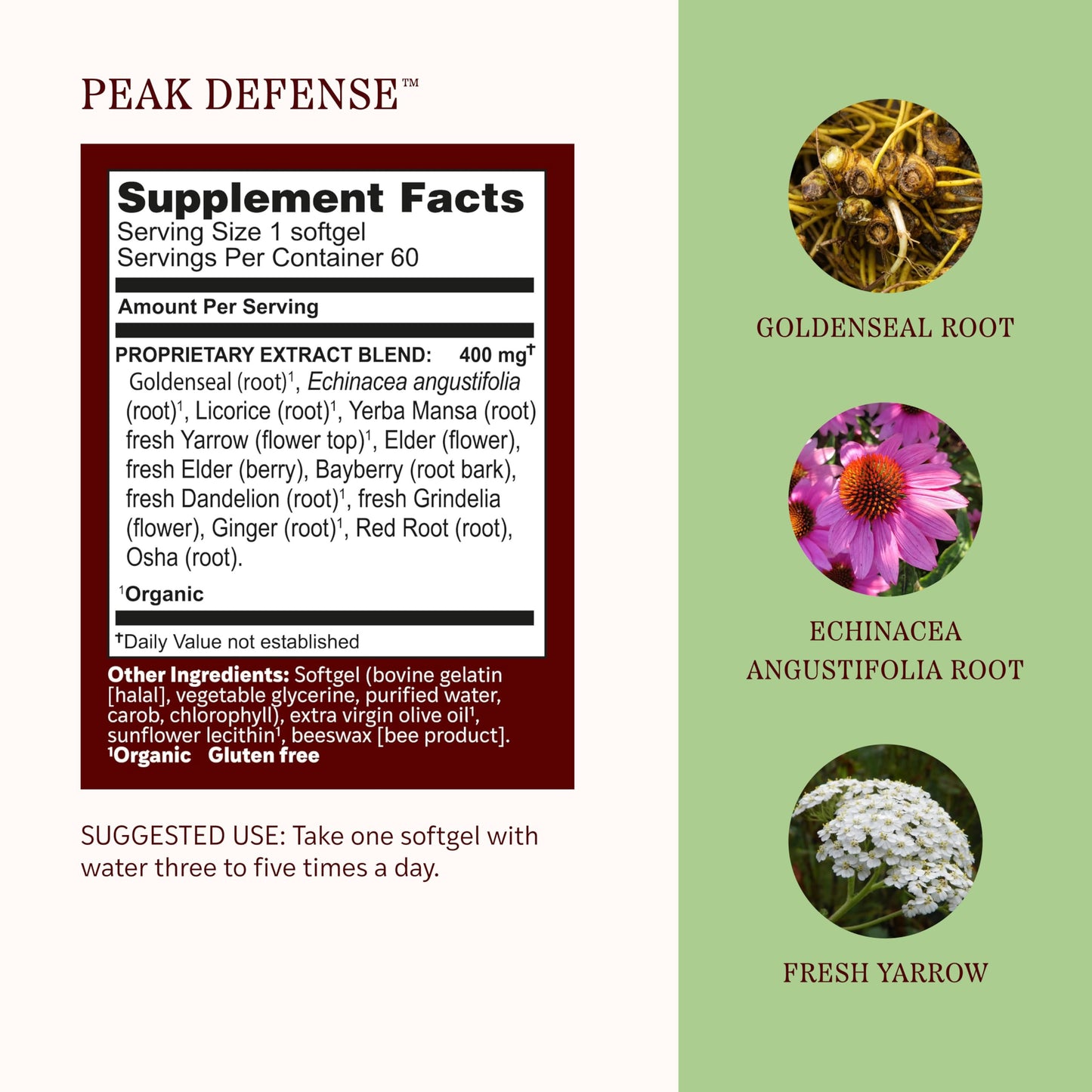 Herbs Etc. Peak Defense Softgels 60
