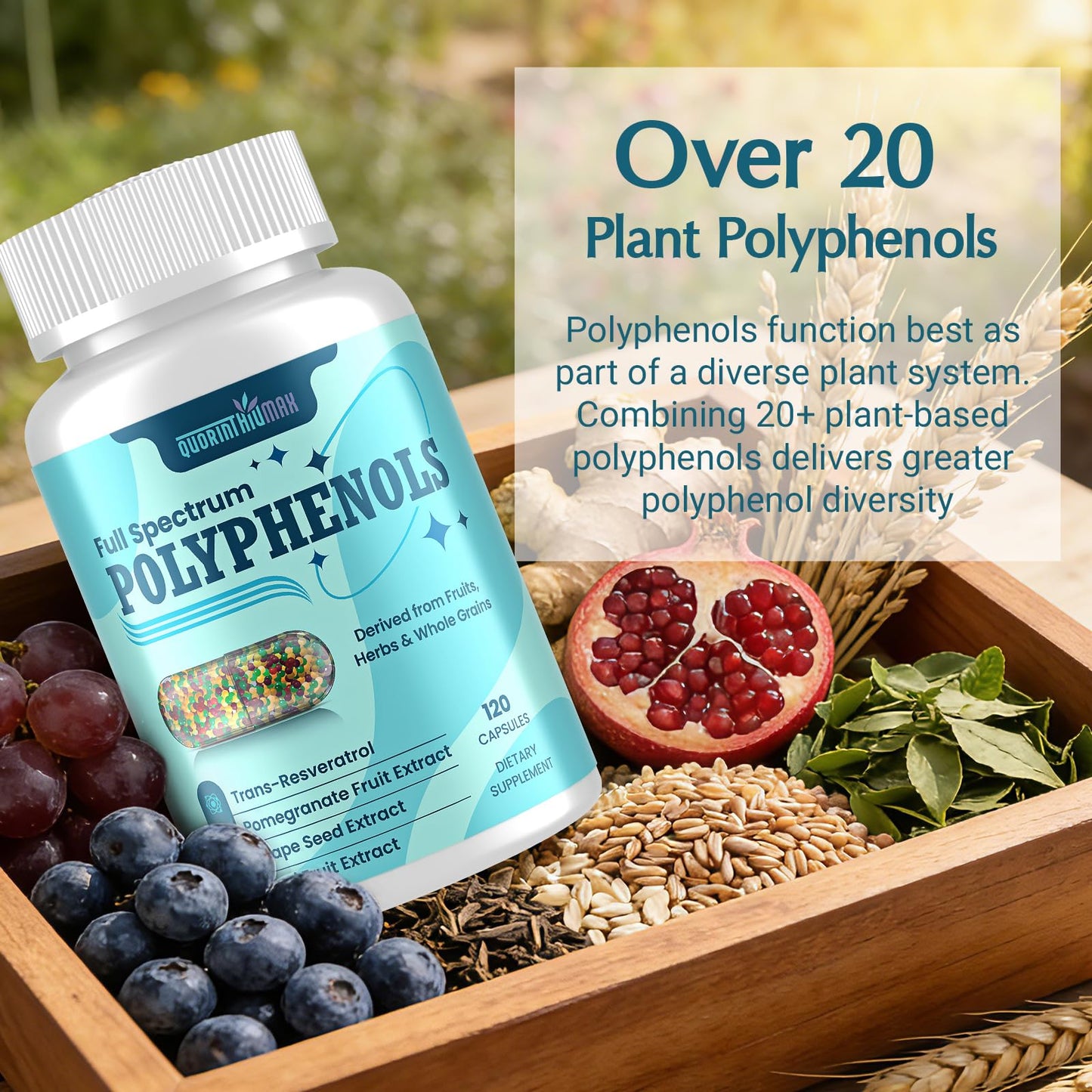 Quorinthiumax Polyphenols Supplement 1500mg Capsule, 120 Count