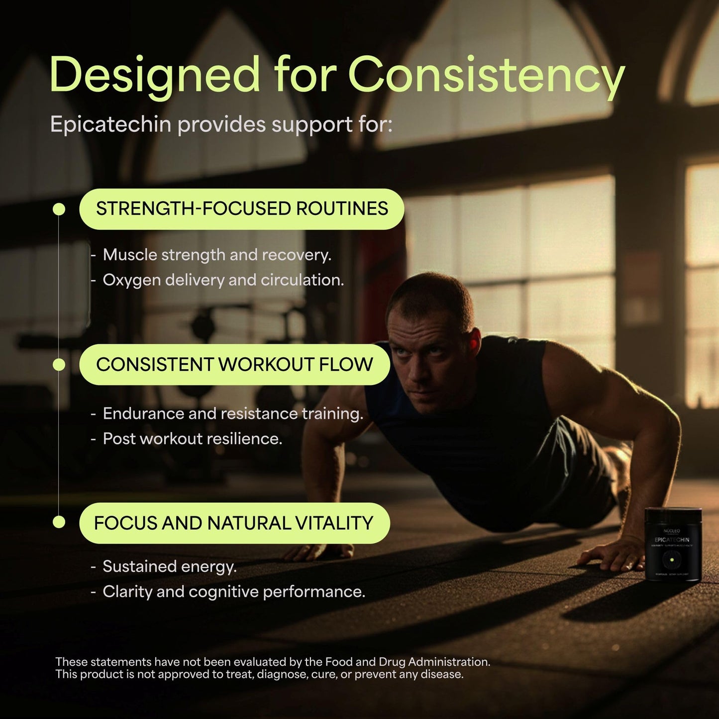 NÜCLEO FUNDAMENTALS Epicatechin Capsules 250mg, 90 Count