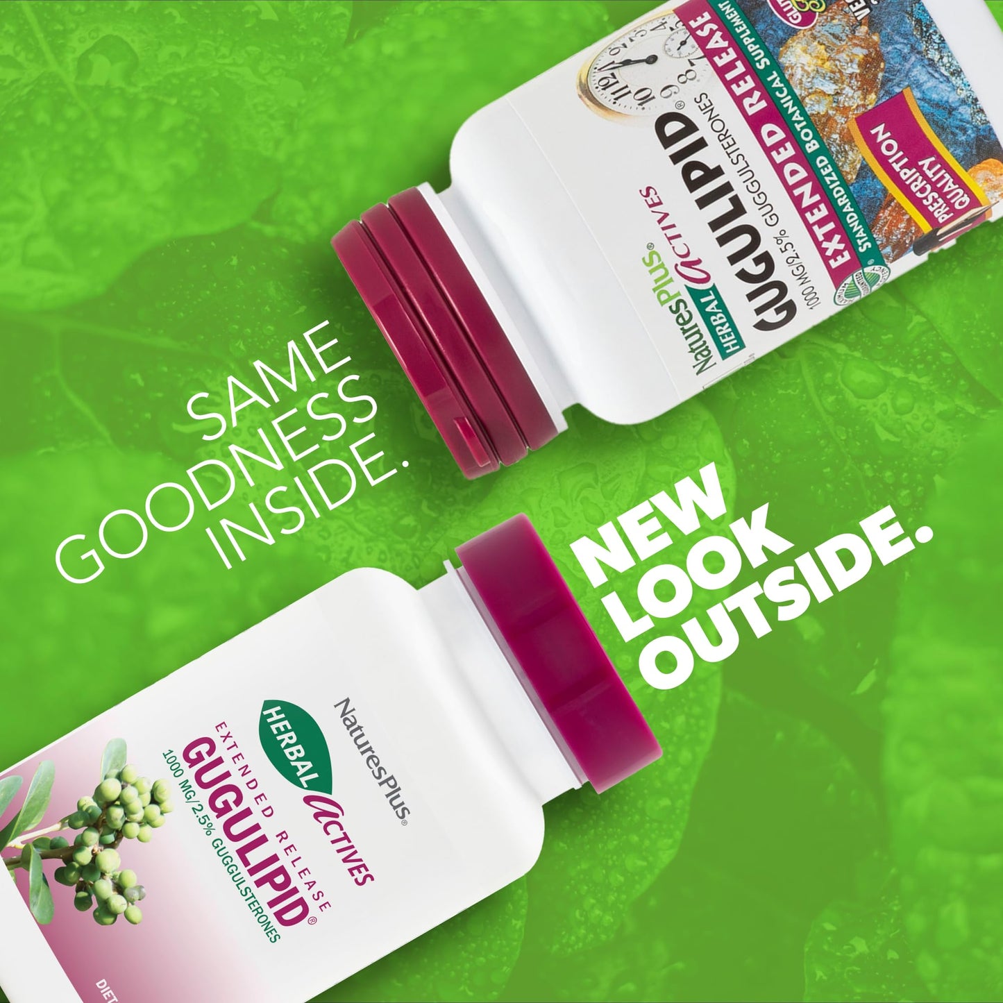 NaturesPlus Herbal Actives Gugulipid Extended Release 1000 mg 2.5% Guggulsterones, 30 Tablets