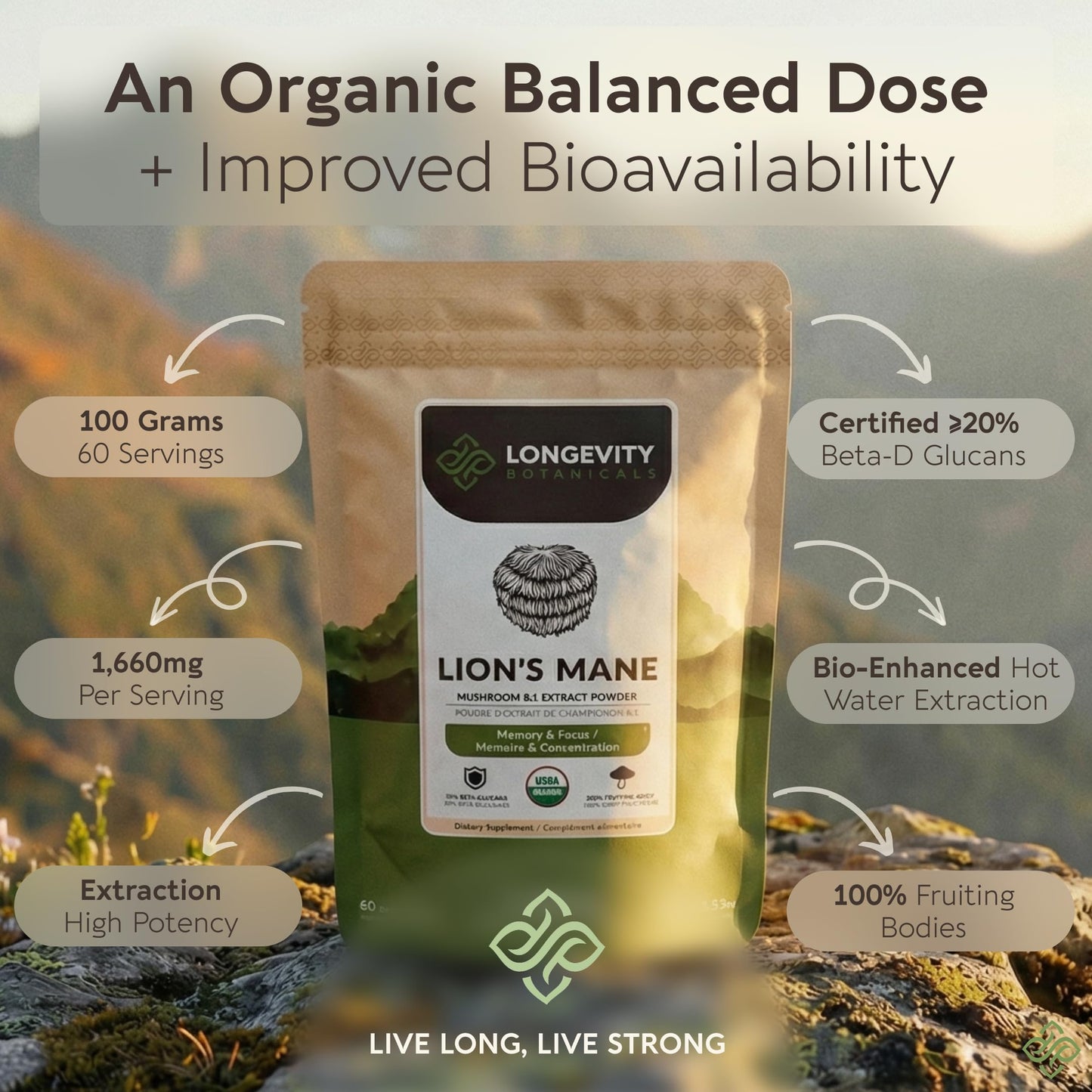 Longevity Botanicals Organic Lion's Mane Mushroom Powder Extract 3.53 oz