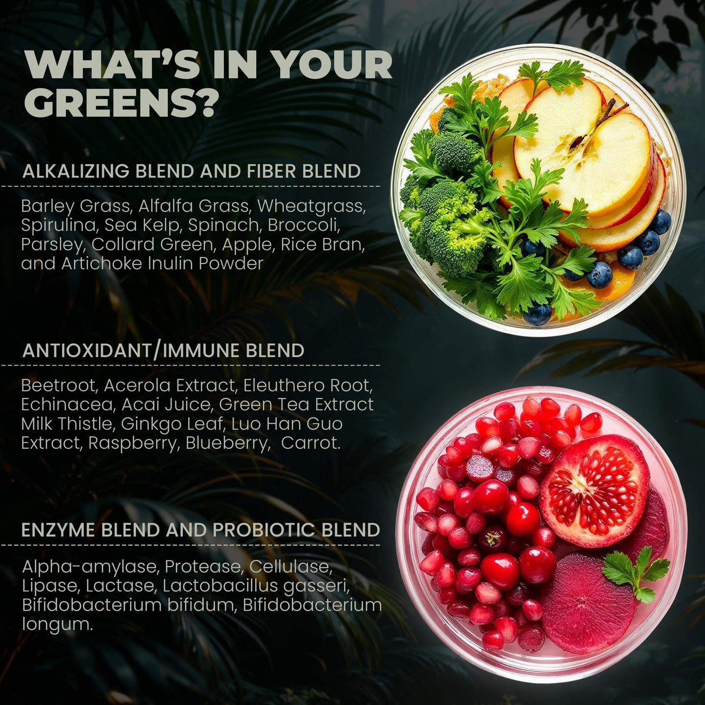 Chuga Shilajit Chuga's Super Greens Powder 8.47