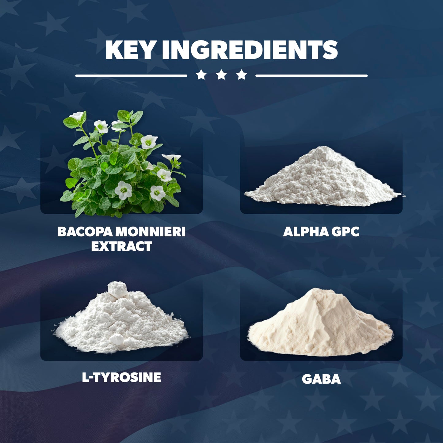 AMERICAN VITALITY Brain Formula 60 Capsules