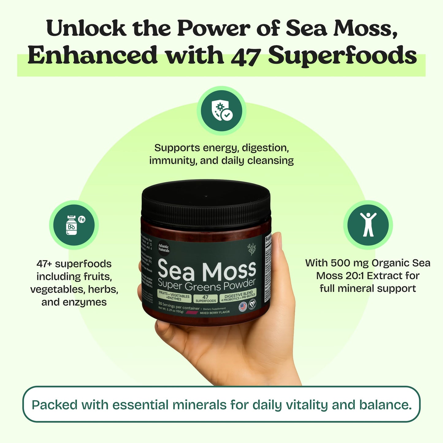 Atlantic Naturals Organic Sea Moss Super Greens Powder Superfood 5000mg 5.5 Ounce
