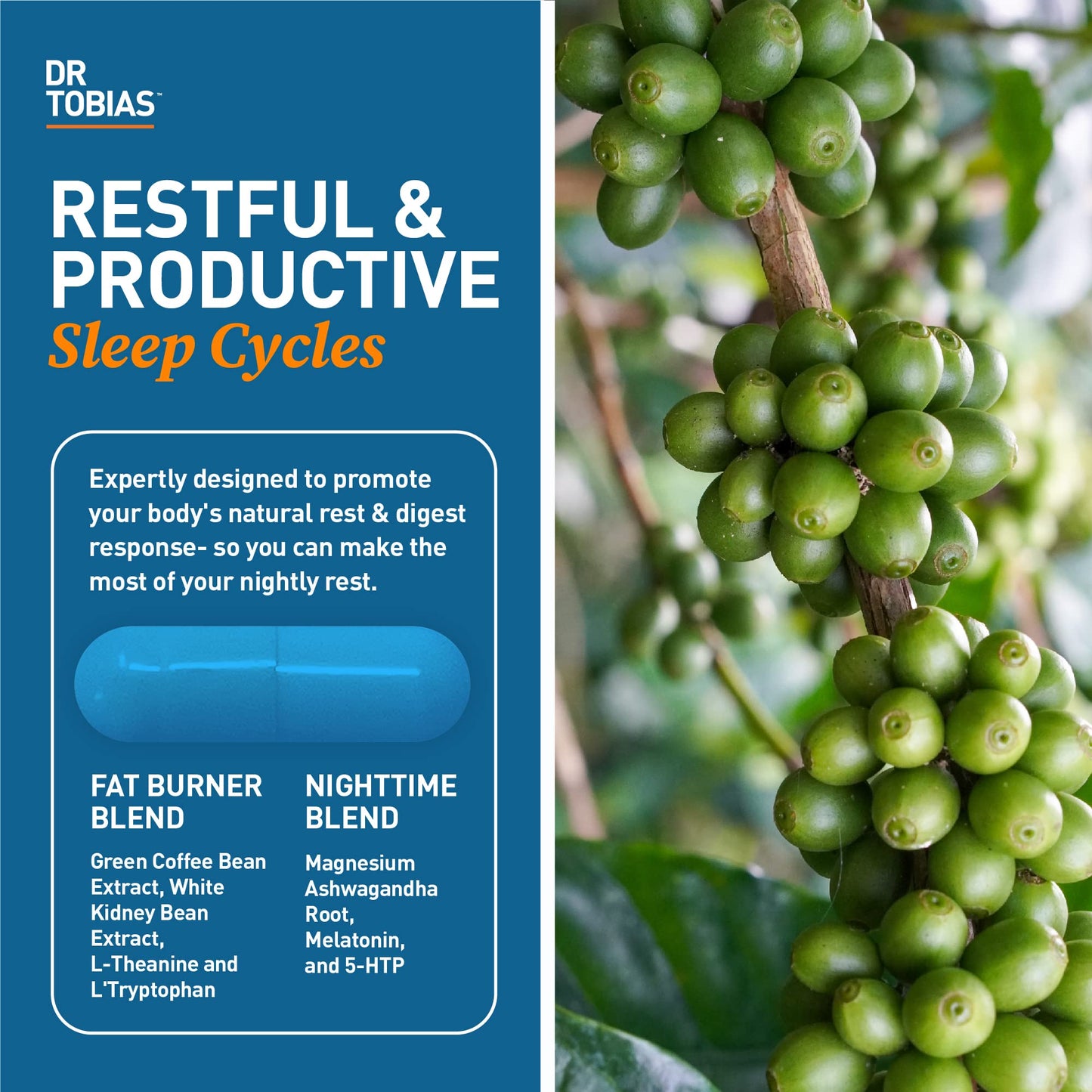Dr. Tobias Fat Burner Nightly - Night Time Metabolic Support with White Kidney Bean Extract, Ashwagandha Root, Green Coffee Bean Extract & Melatonin Capsules, 60 Count