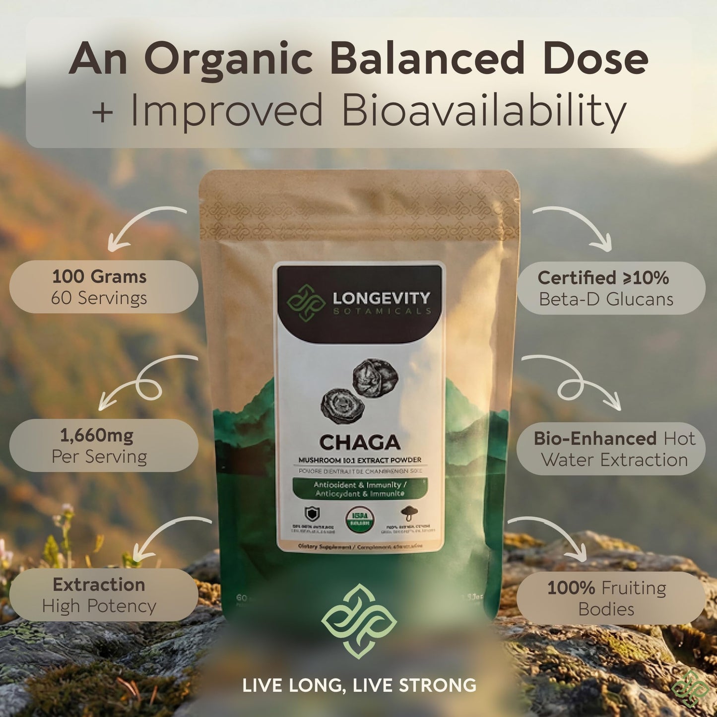 Longevity Botanicals Organic Chaga Mushroom Powder Supplement Extract 3.53 Ounce