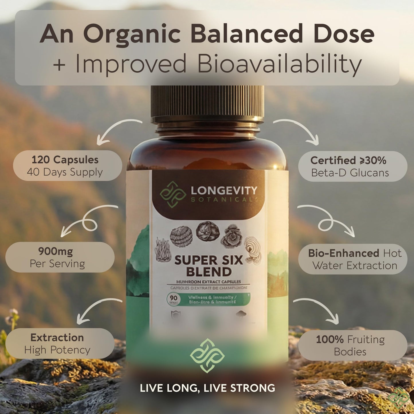 Longevity Botanicals Organic Super Six Mushroom Capsules 90 Capsules