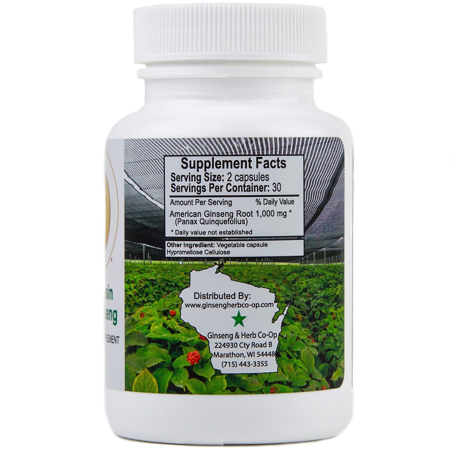 Ginseng & Herb Co-op A Wisconsin Grower Cooperative - USA 100% Pure Wisconsin American Ginseng Capsules 500mg, Panax Quinquefolius, 60 Capsules