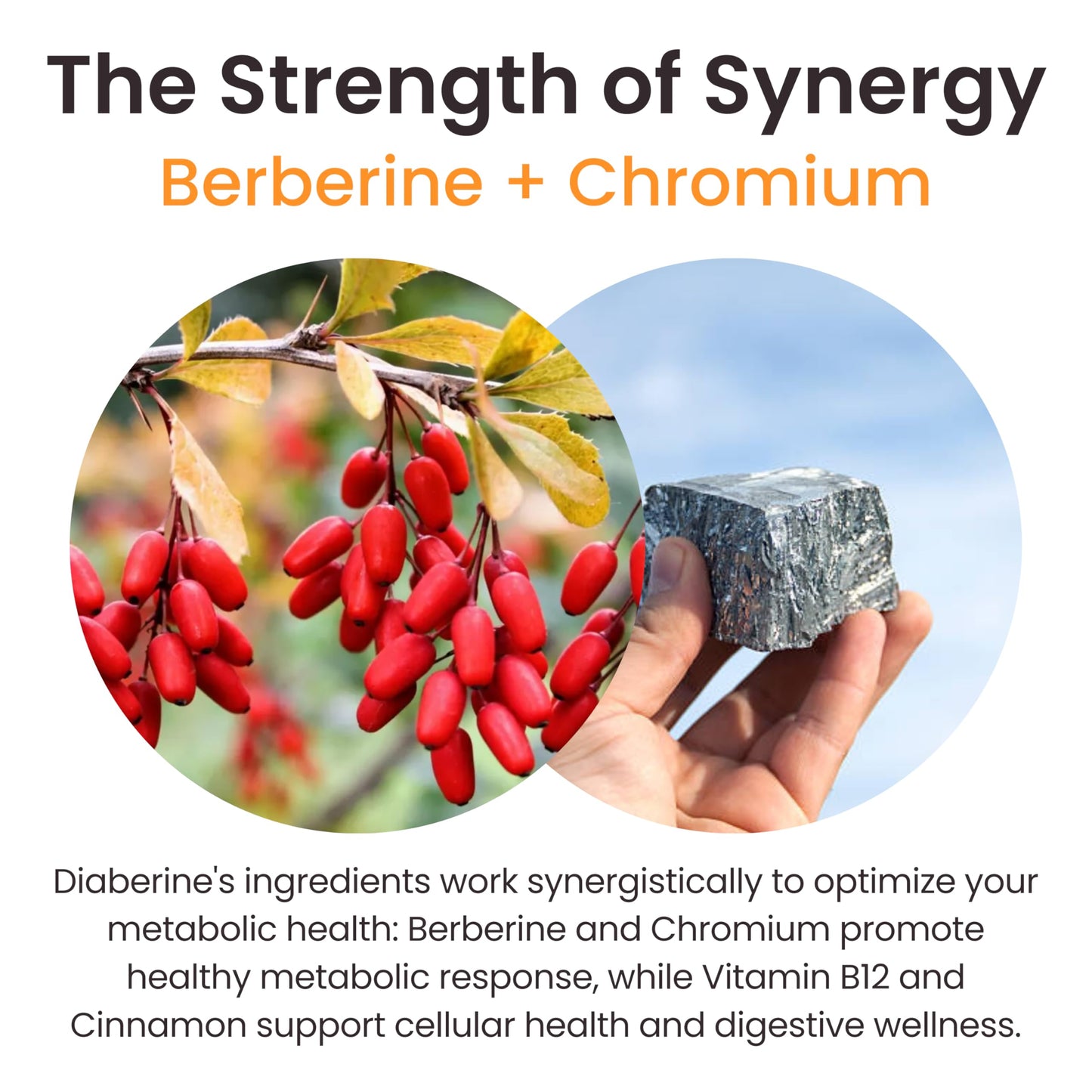 Ultisana Diaberine Berberine HCL Supplement, Berberine 500mg with Vitamin B12, Magnesium & Chromium, Capsule, 15 Capsules