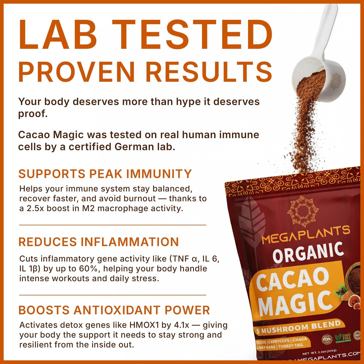 MEGAPLANTS Cacao Magic Mushroom Hot Chocolate & Coffee Alternative Powder 5.3 Ounce