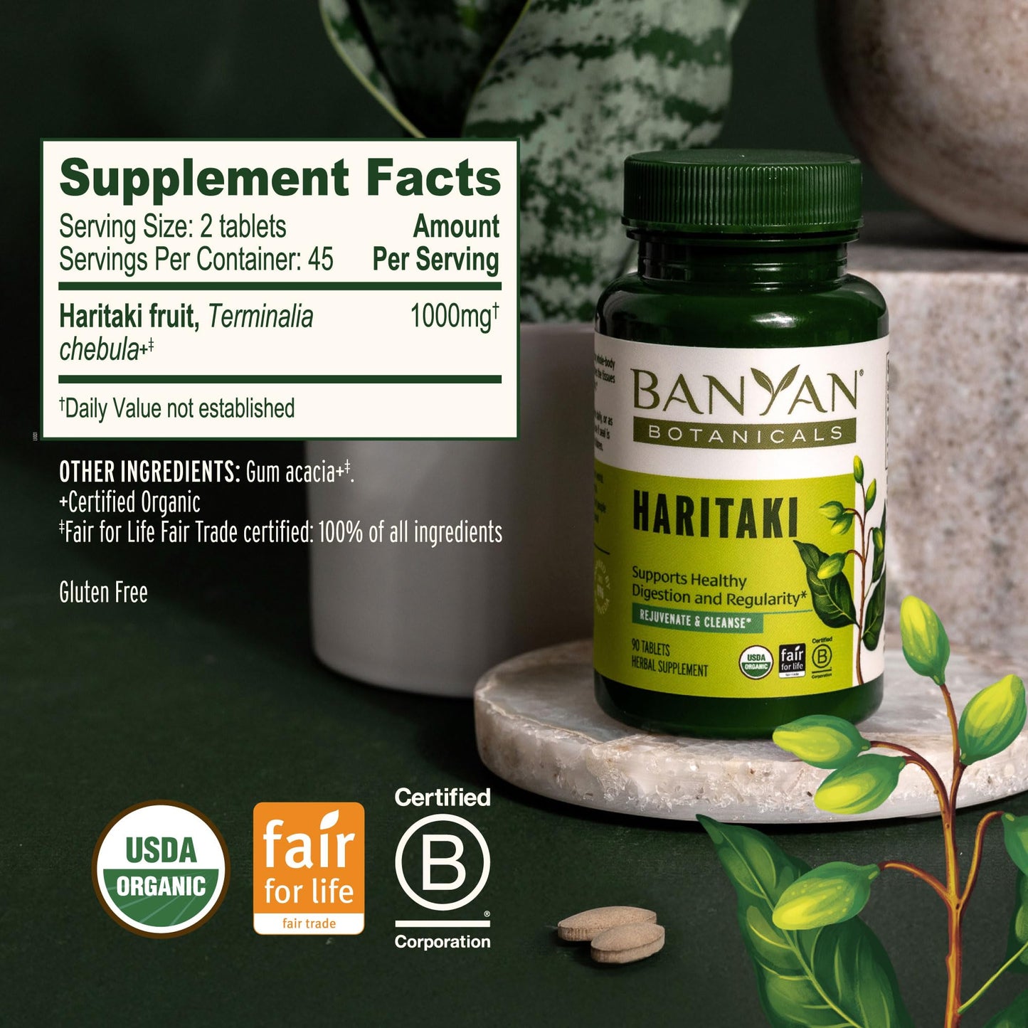 Banyan Botanicals Haritaki Tablets 90 Count