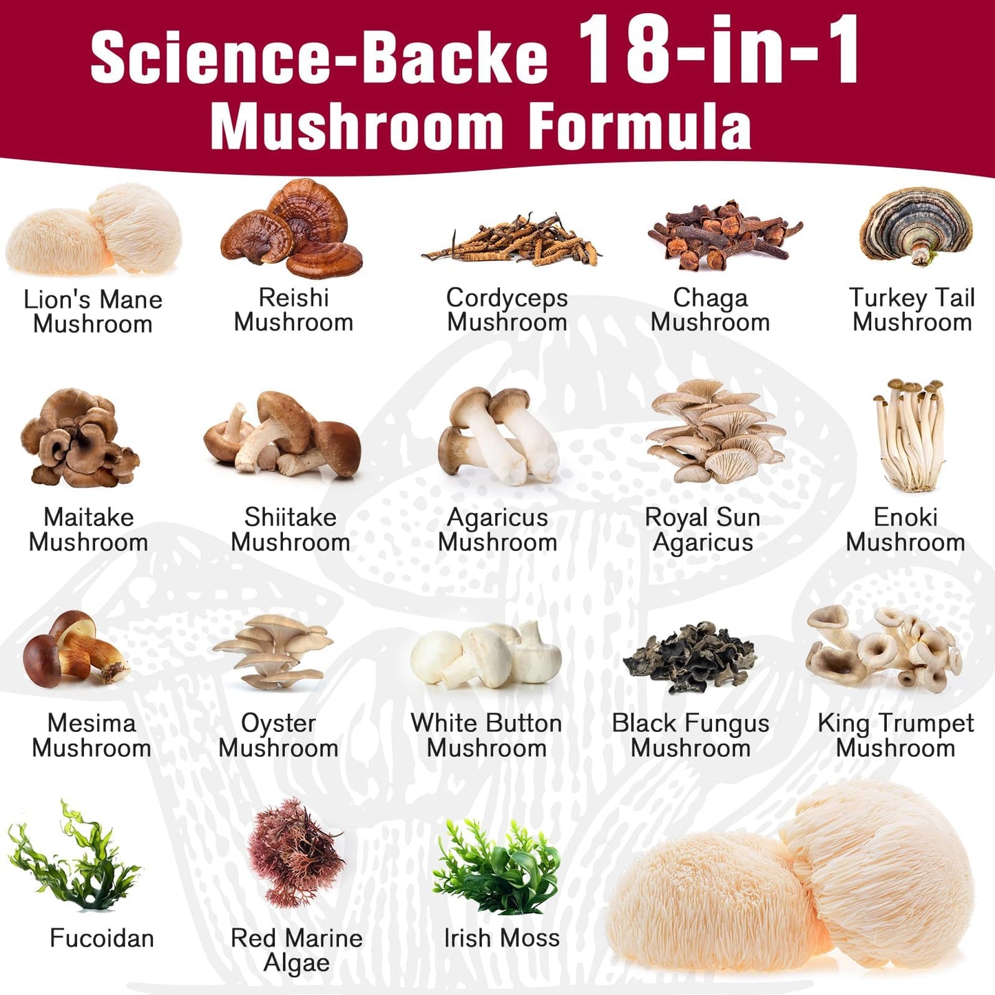 Dmeisy Sublingual Mushroom Complex 18-in-1 Mushroom Supplement Tablet, 60 Tablets