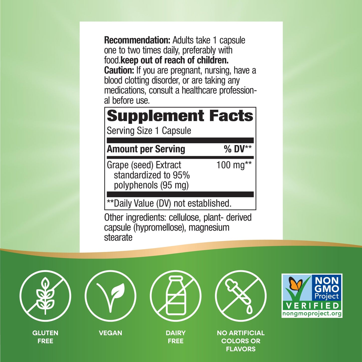 Nature's Way Grape Seed Standardized Extract Capsule 60 Count