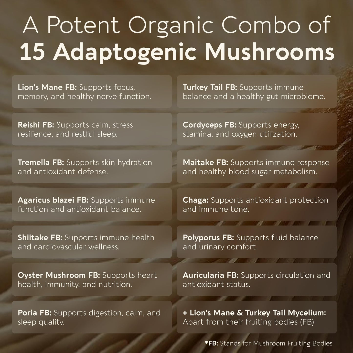 Longevity Botanicals Power 15 Mushroom Blend Capsules 90 Count