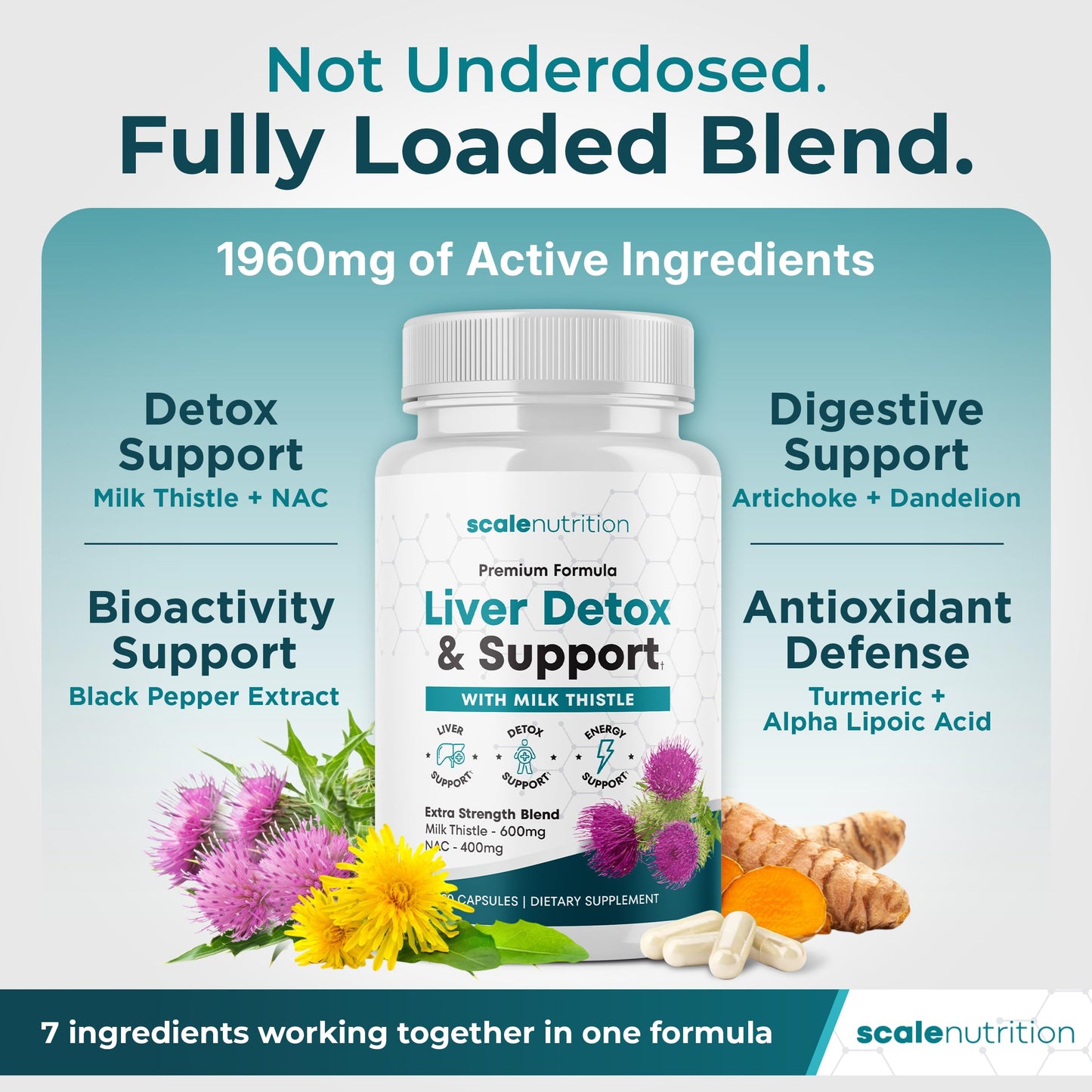 Scale Nutrition Liver Detox & Support – High Potency 1960mg Formula, Capsules, 120 Count