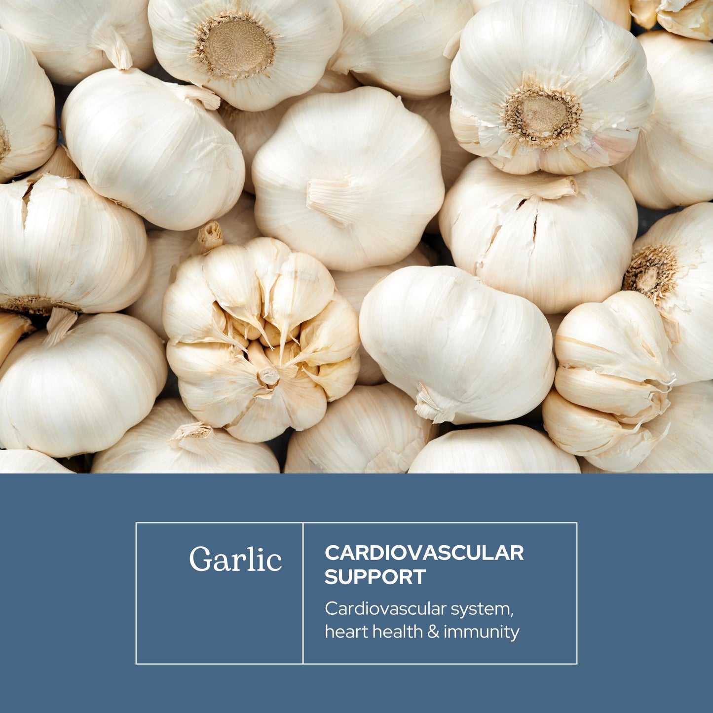 Eclectic Institute Garlic Capsules 90 Count