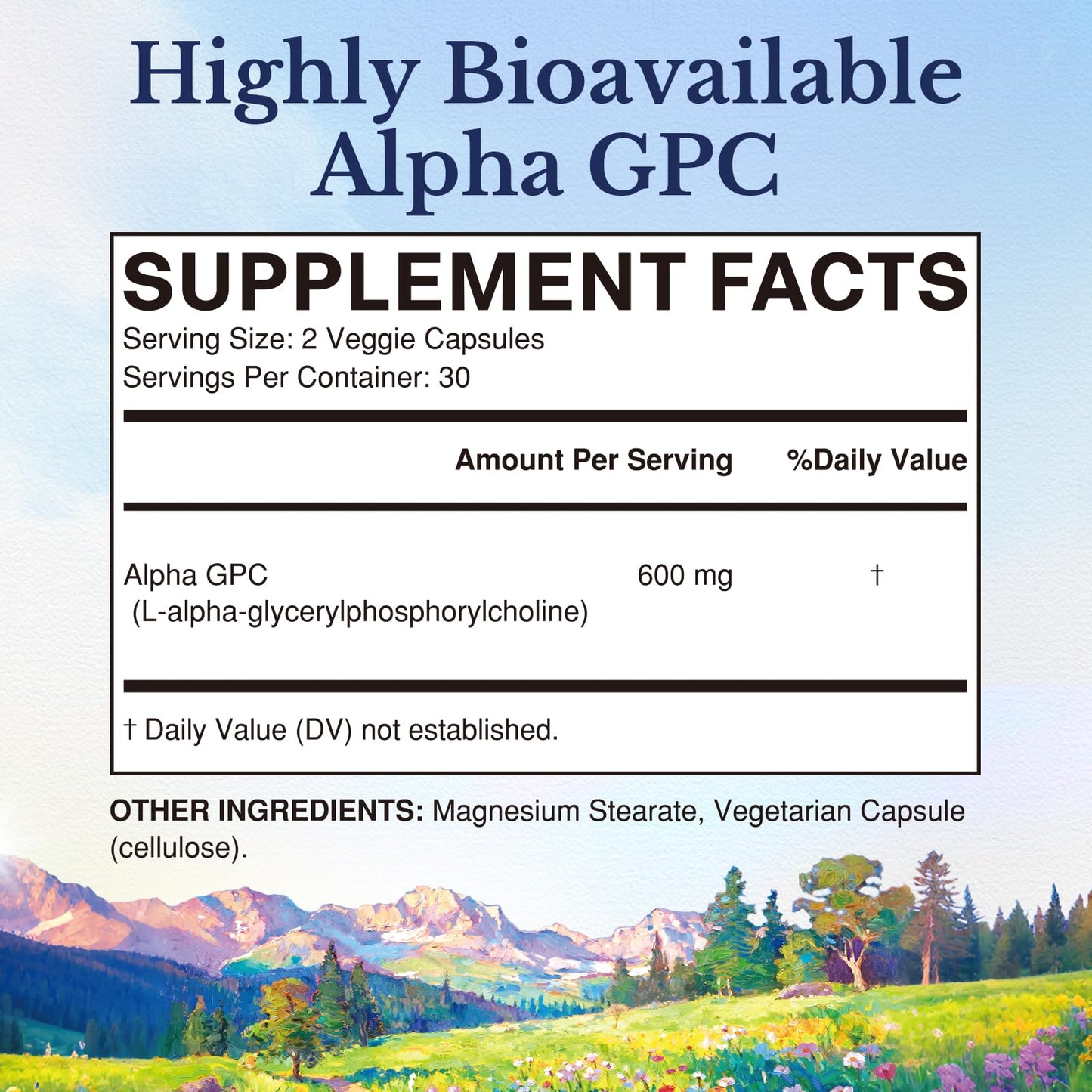 Vitalitown Alpha GPC Supplement 600 mg, Bioavailable Source of Choline, Acetylcholine Precursor, Non-GMO, Brain Health & Cognitive Support, 60 Veg Caps