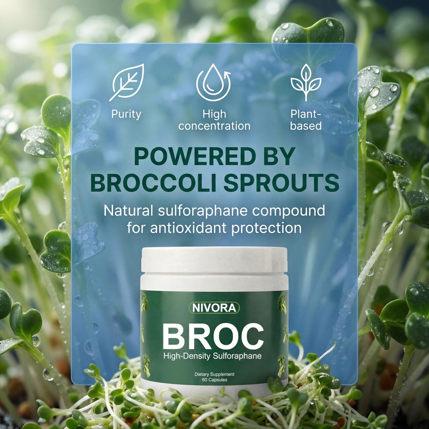SDXJIOGE Nivora Broc High-Density Sulforaphane from Broccoli Sprouts Capsule, 60 Count