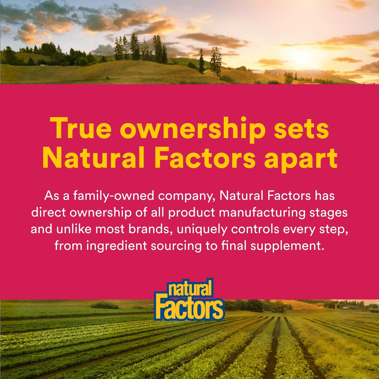 Natural Factors Calcium Citrate Tablet 90 Tablets
