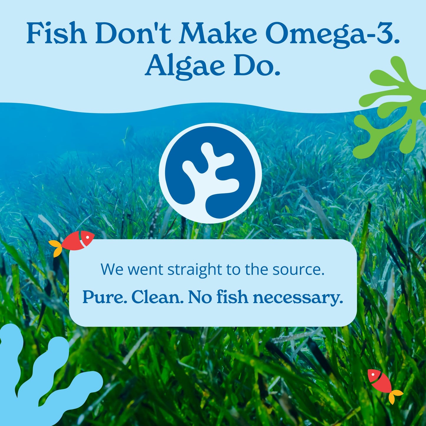 Calgee Algae Omega-3 Softgels, 60 Count