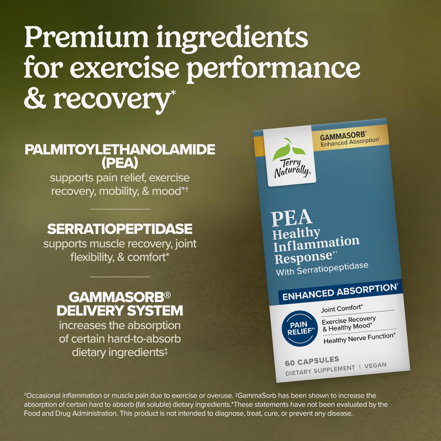 Terry Naturally Pea Healthy Inflammation Response Post Workout Capsule, 60 Count