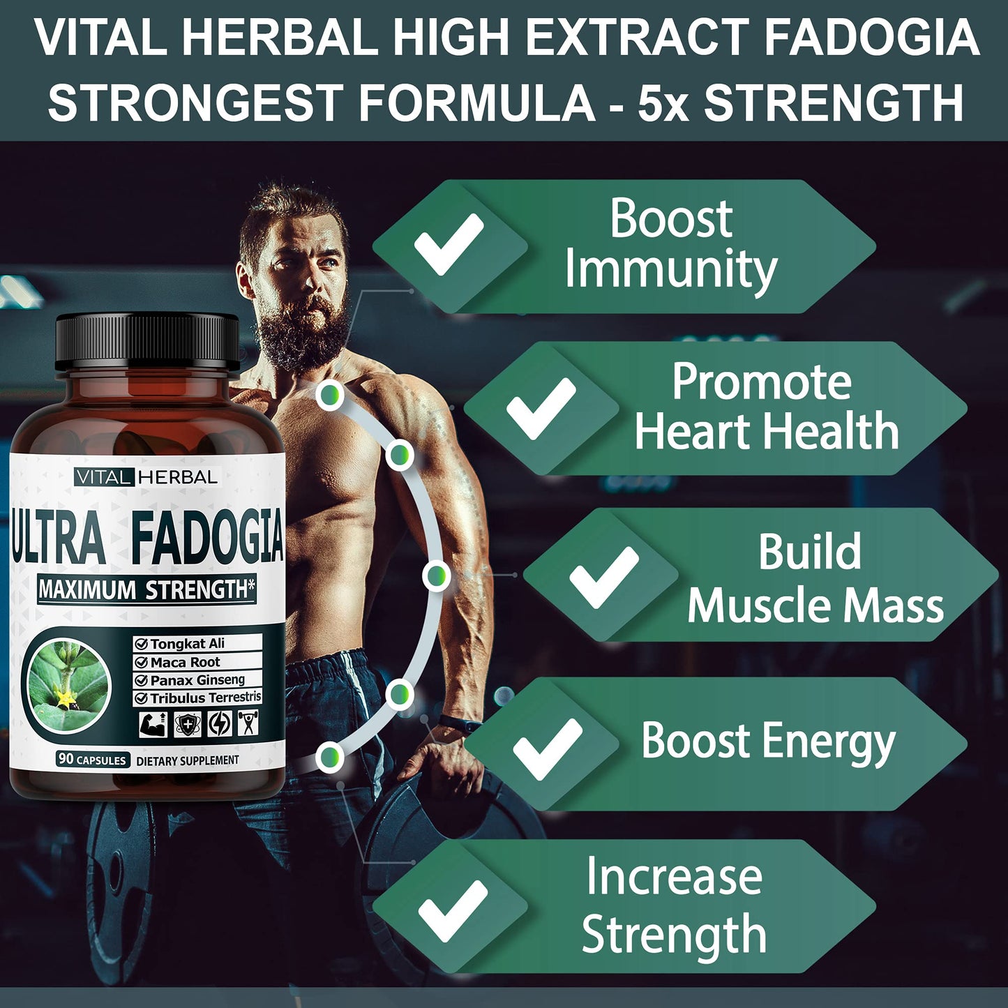 VITAL HERBAL Fadogia Agrestis with Tongkat Ali Capsules, 90 Count