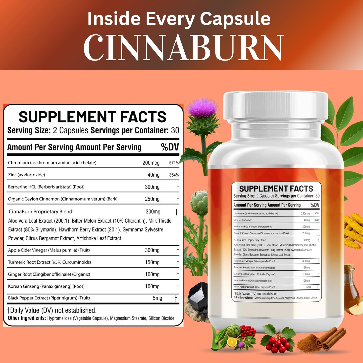 Kun Shafi Ceylon Cinnamon Complex with Berberine Apple Cider Vinegar Plus Bitter Melon Gymnema Ginseng Chromium & Turmeric Milk Thistle Capsules, 60 Count