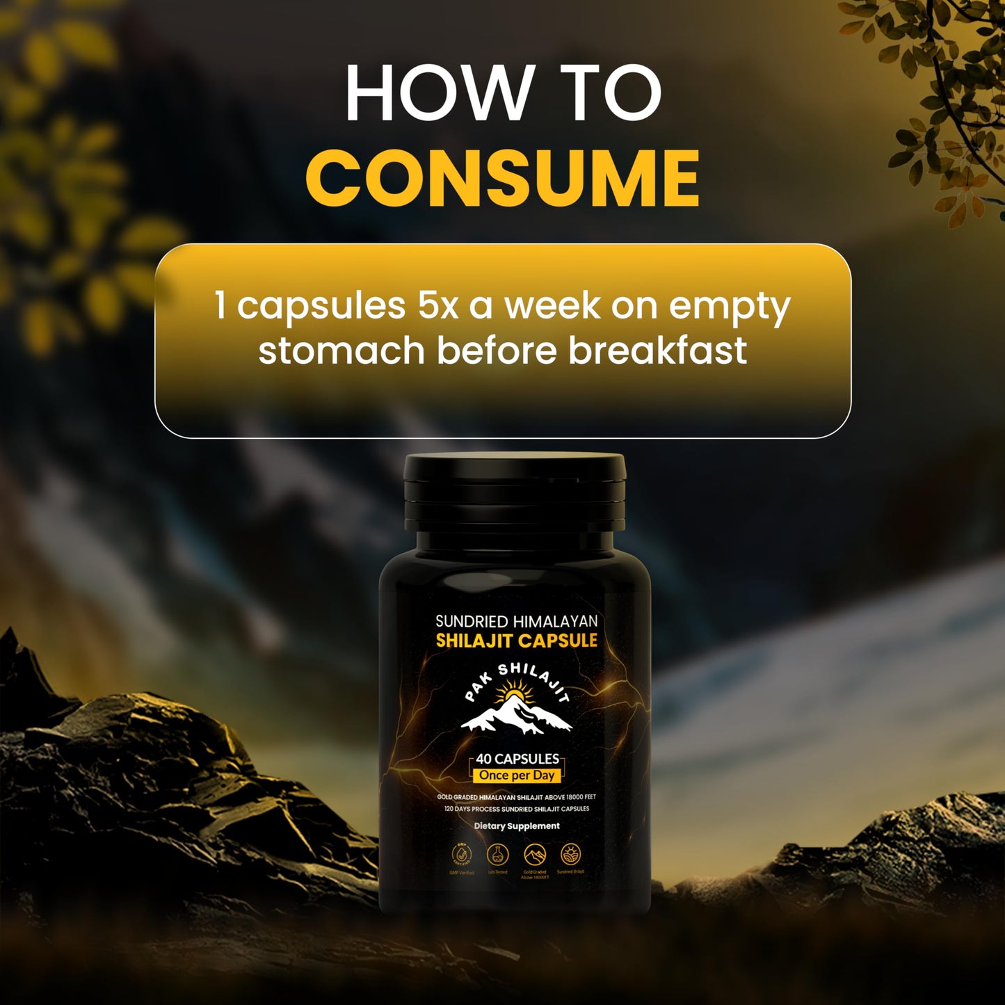 PakShilajit Himalayan Shilajit Capsules 40 Capsules
