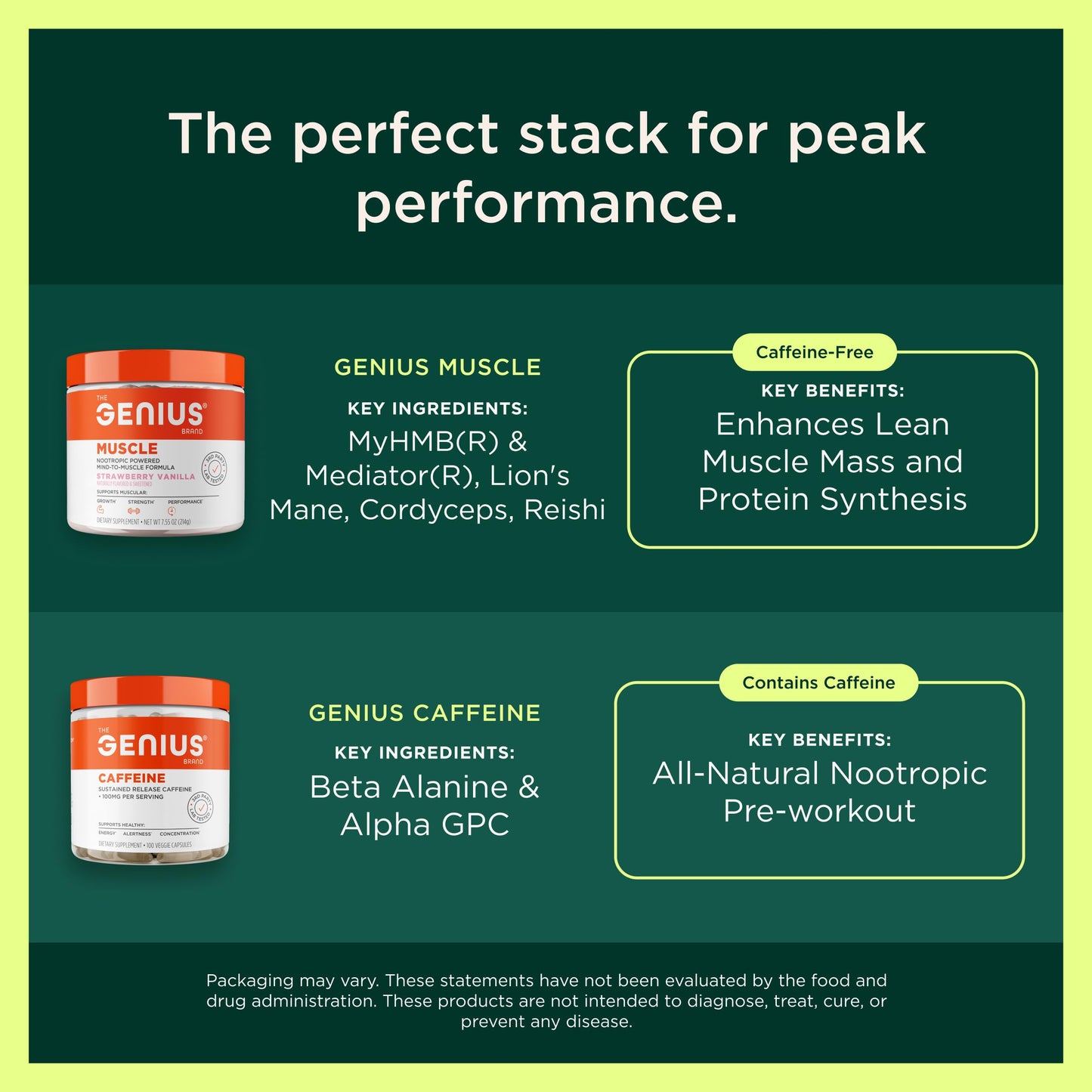 The Genius Brand Protein Powder - Chocolate + Adaptogenic Mushroom Blend - Plant-Based Protein with Turkey Tail for Gut Health - Daily Muscle Recovery & Immune Support, 22.6 oz