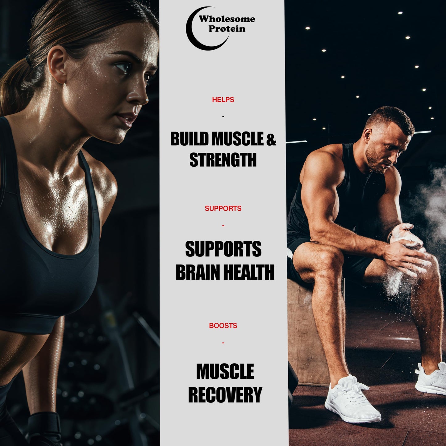 Wholesome Protein Creatine Monohydrate Powder, 5 g per scoop, Pack of 2000